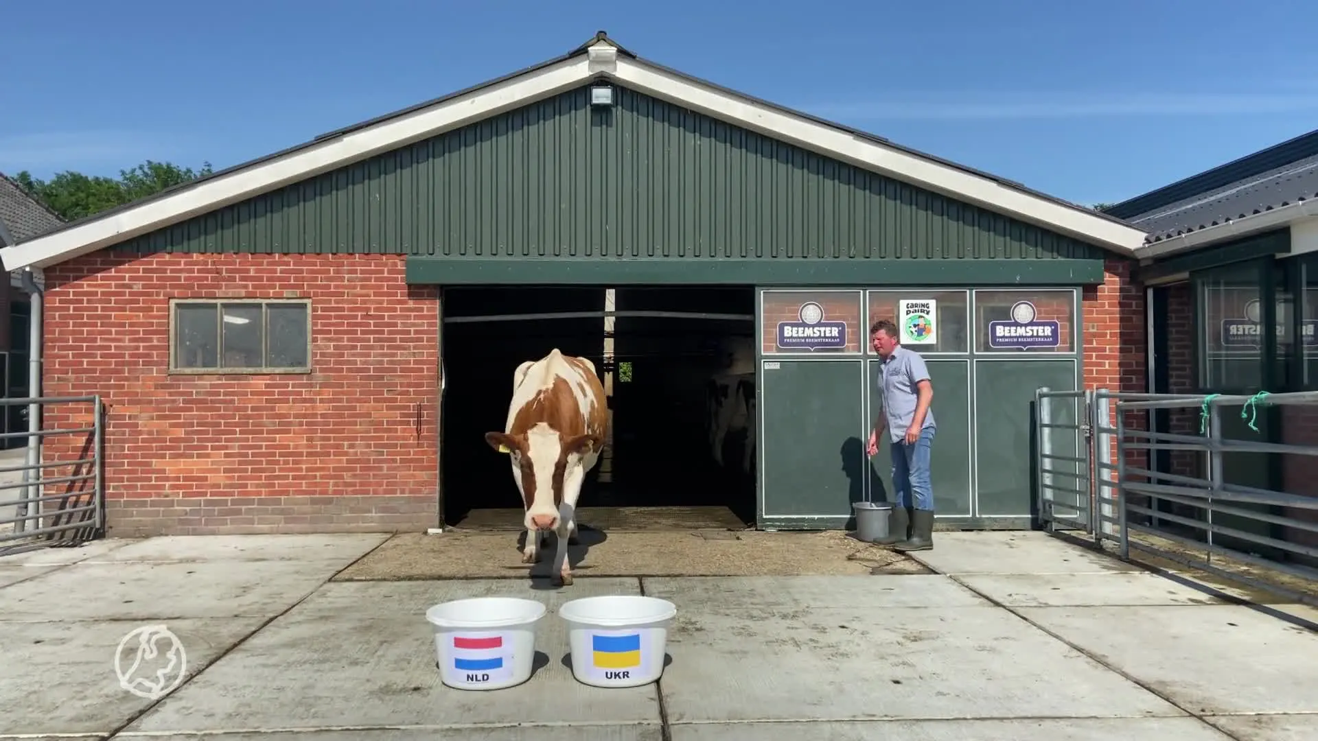 Wint Nederland de eerste EK-wedstrijd tegen Oekraïne? Koe Sij...