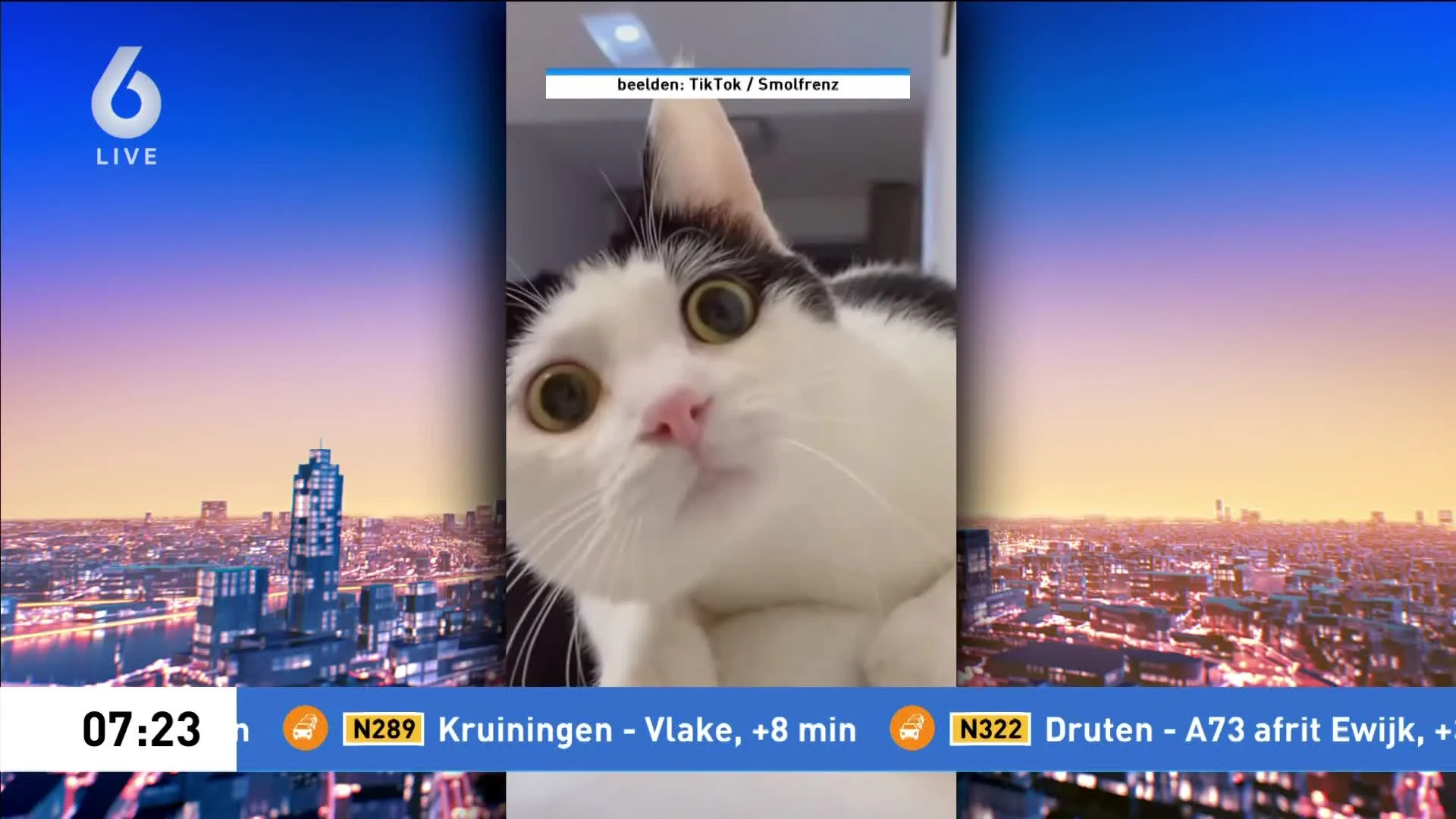 Poezenkrant na halve eeuw uitgespind, laatste editie verschijnt deze week