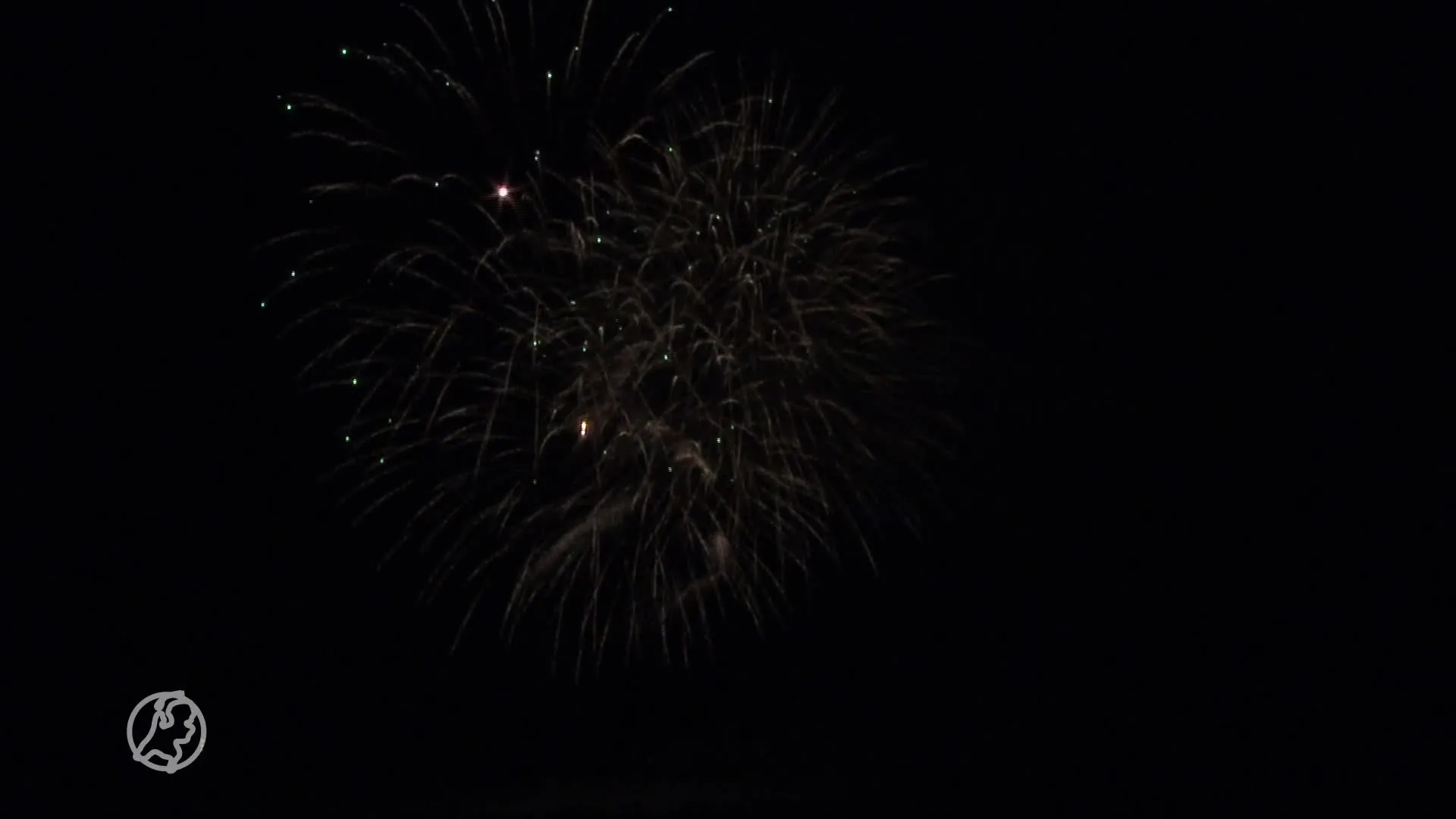 Marjoleins blindengeleidehond is bang voor vuurwerk: 'Als hij verstijft, kan ik geen kant op'