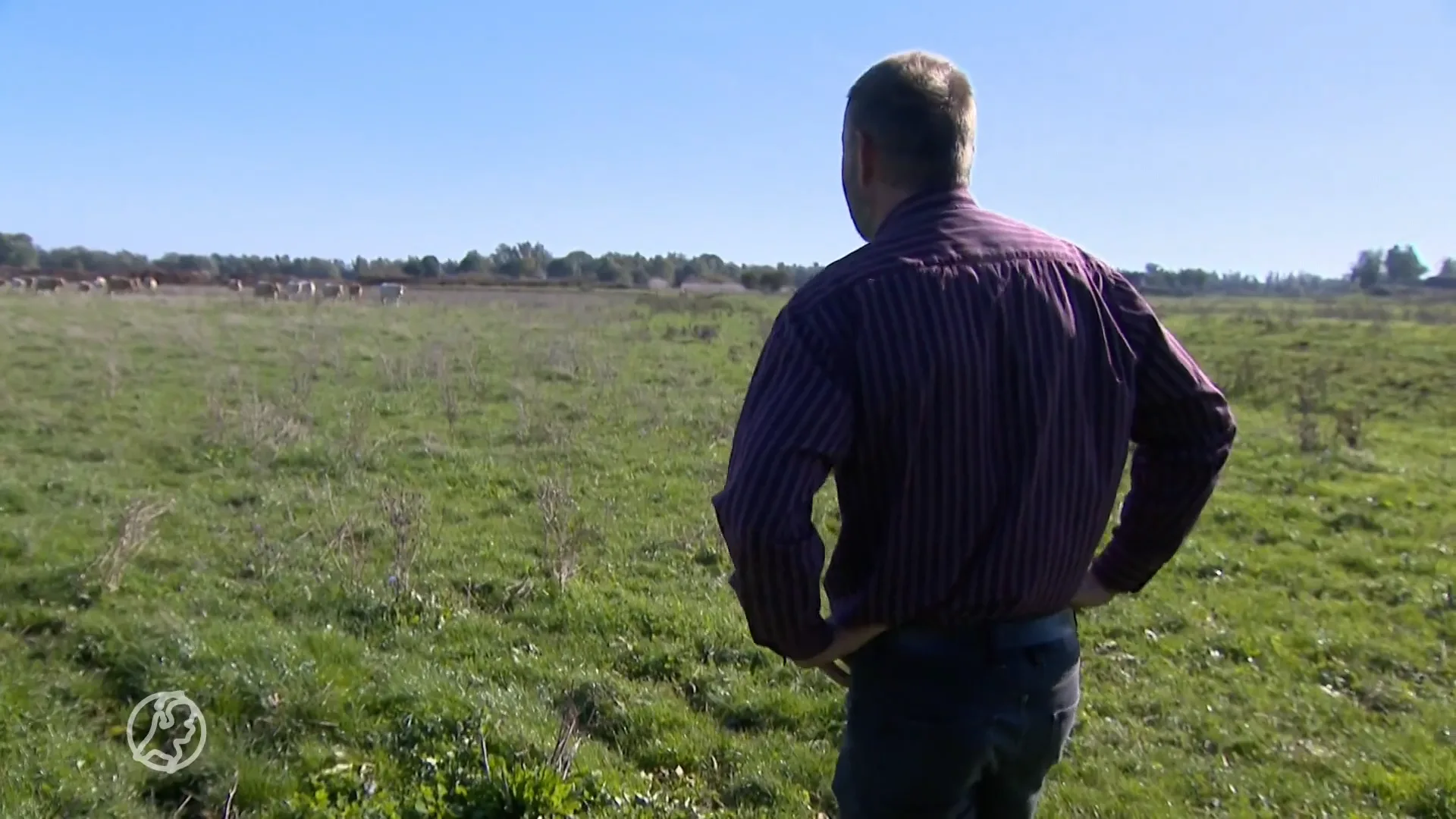 Varkensboer Rob liet zich uitkopen voor 2,5 miljoen euro: 'Dat bedrag viel achteraf wel tegen'
