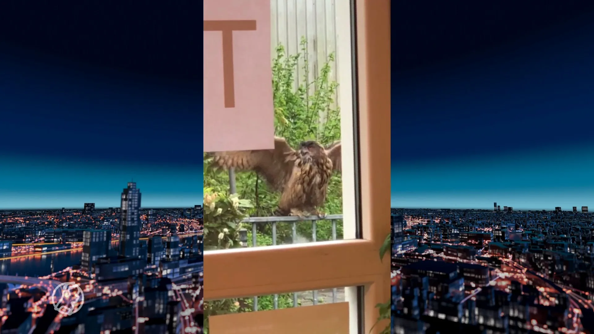 Oehoe blokkeert ingang van basisschool in Hulst