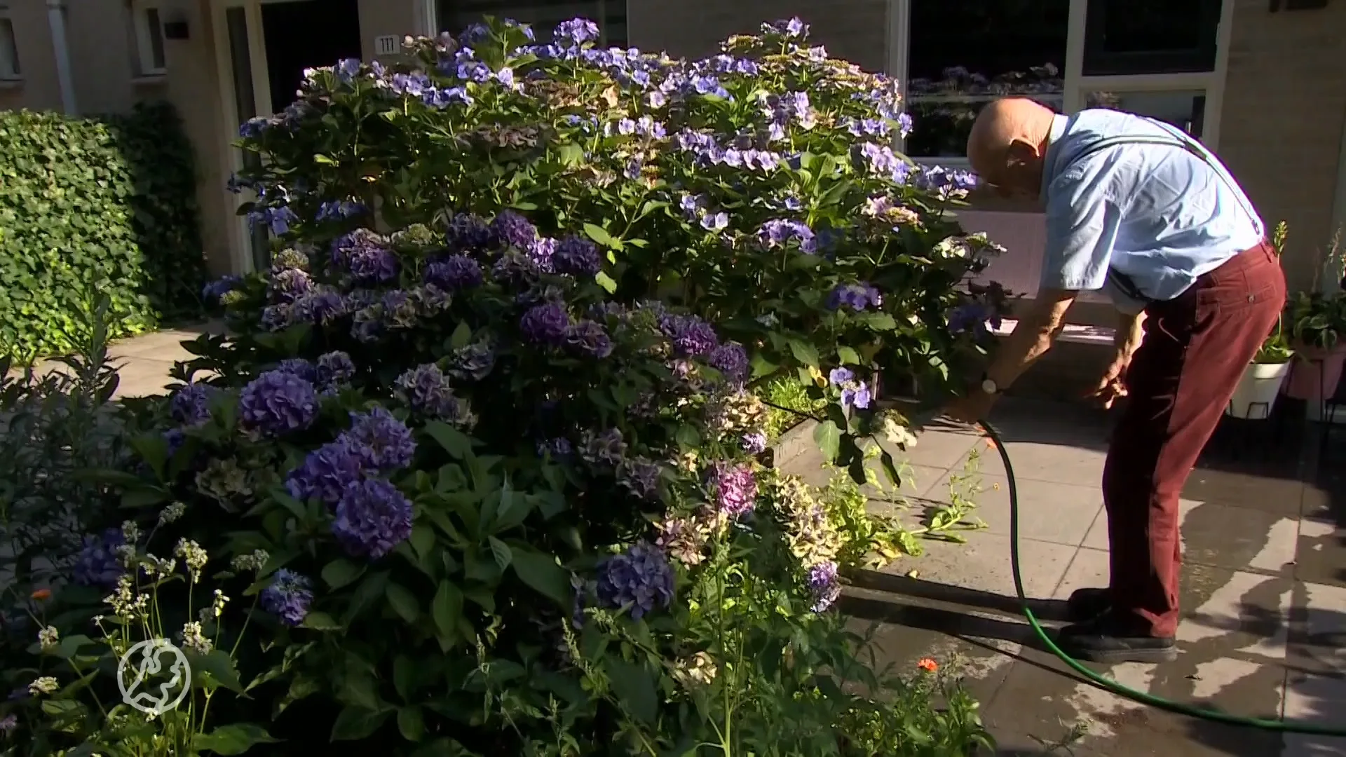 Officieel watertekort: crisisteam gaat bepalen hoe het water wordt verdeeld