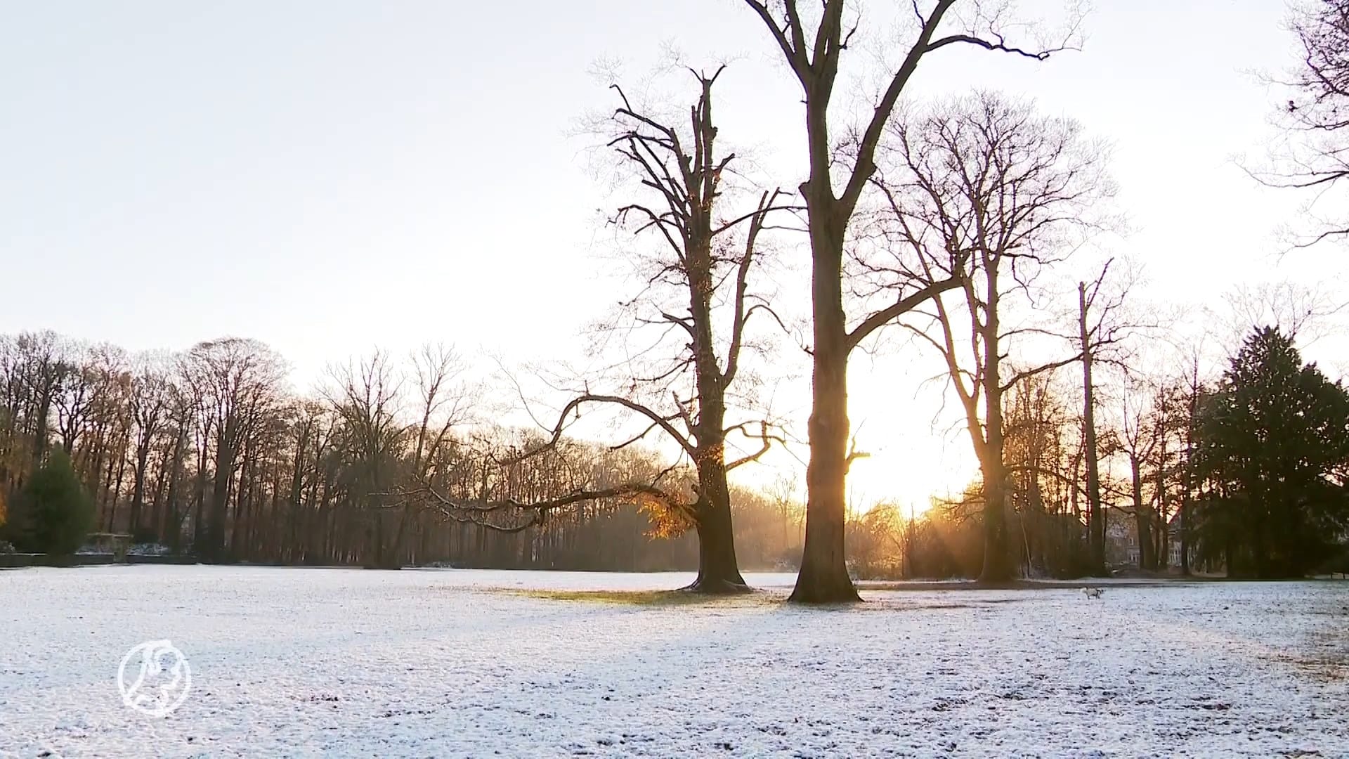 Sneeuw bedekt Nederland met een wit laagje