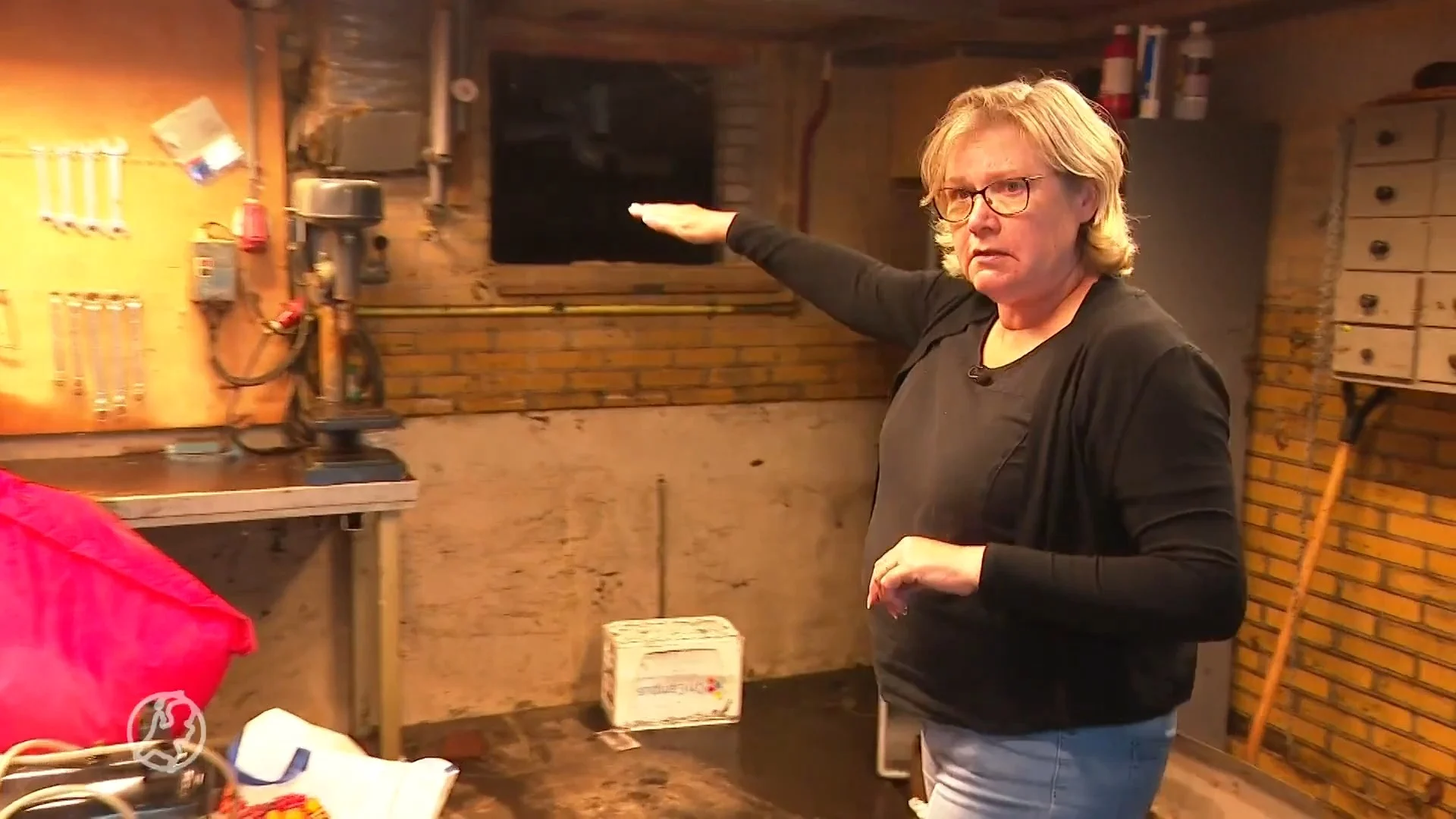 Wolkbreuk zorgt in Dalfsen voor enorme overlast: 'Nog nooit m...