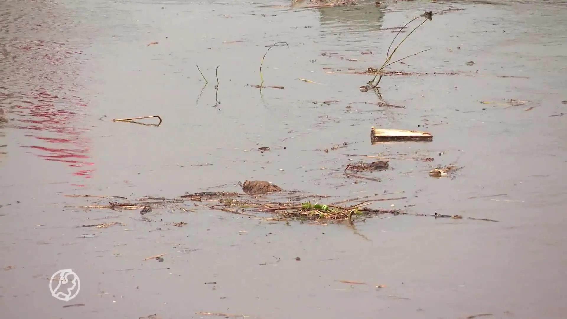Zwemmen in rivieren nu levensgevaarlijk: harde stroming en veel takken in het water