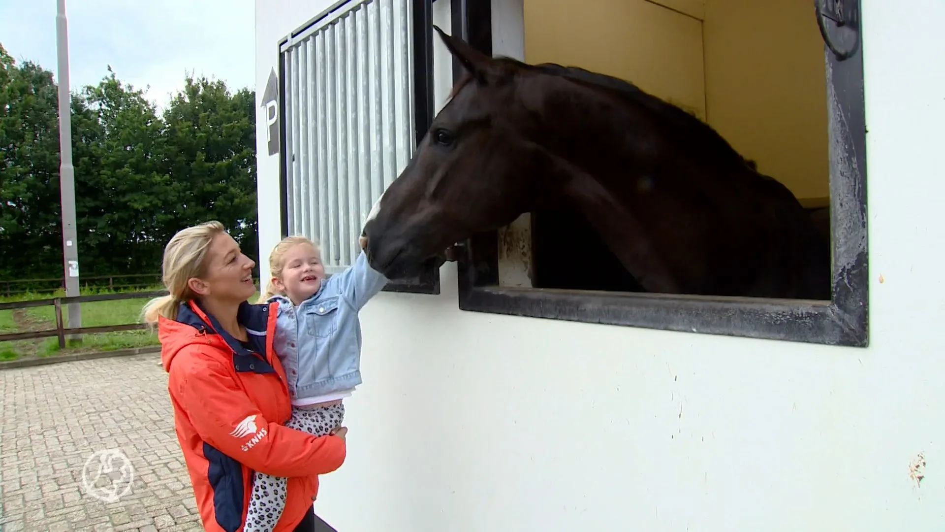 Dressuurpaarden in quarantaine voor vertrek naar Tokio