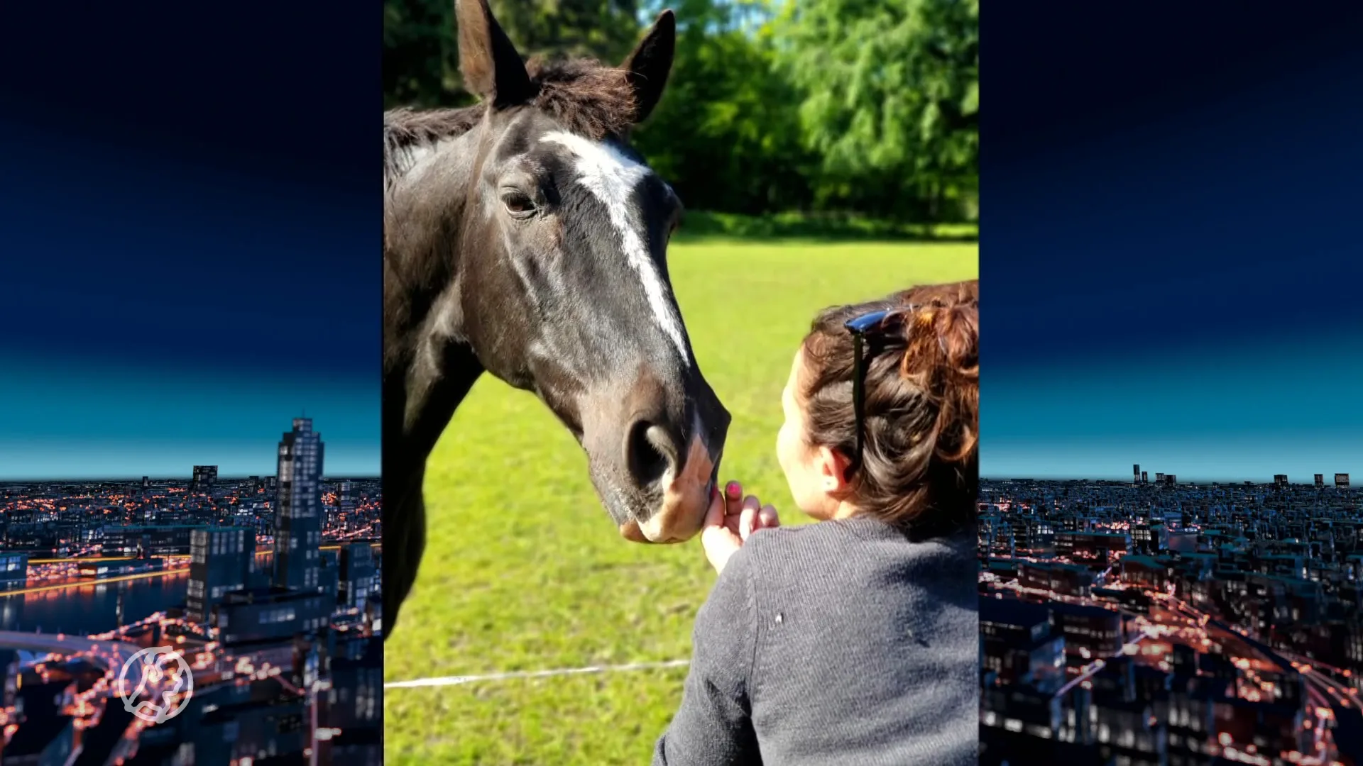 Paard wordt gruwelijk verminkt aangetroffen in wei en overlijdt