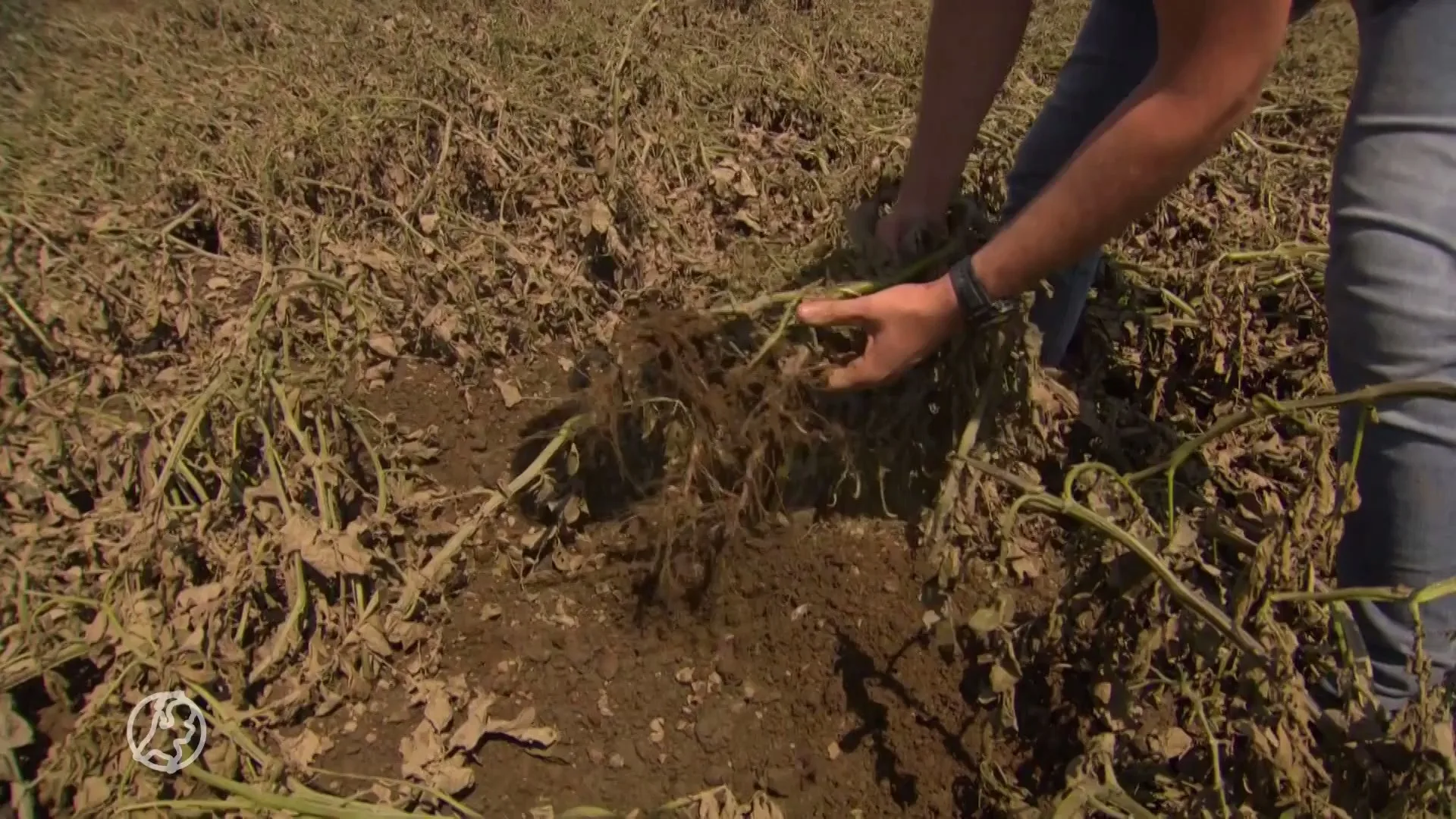 Provincie: roep ook Brabant uit tot rampgebied na watersnood