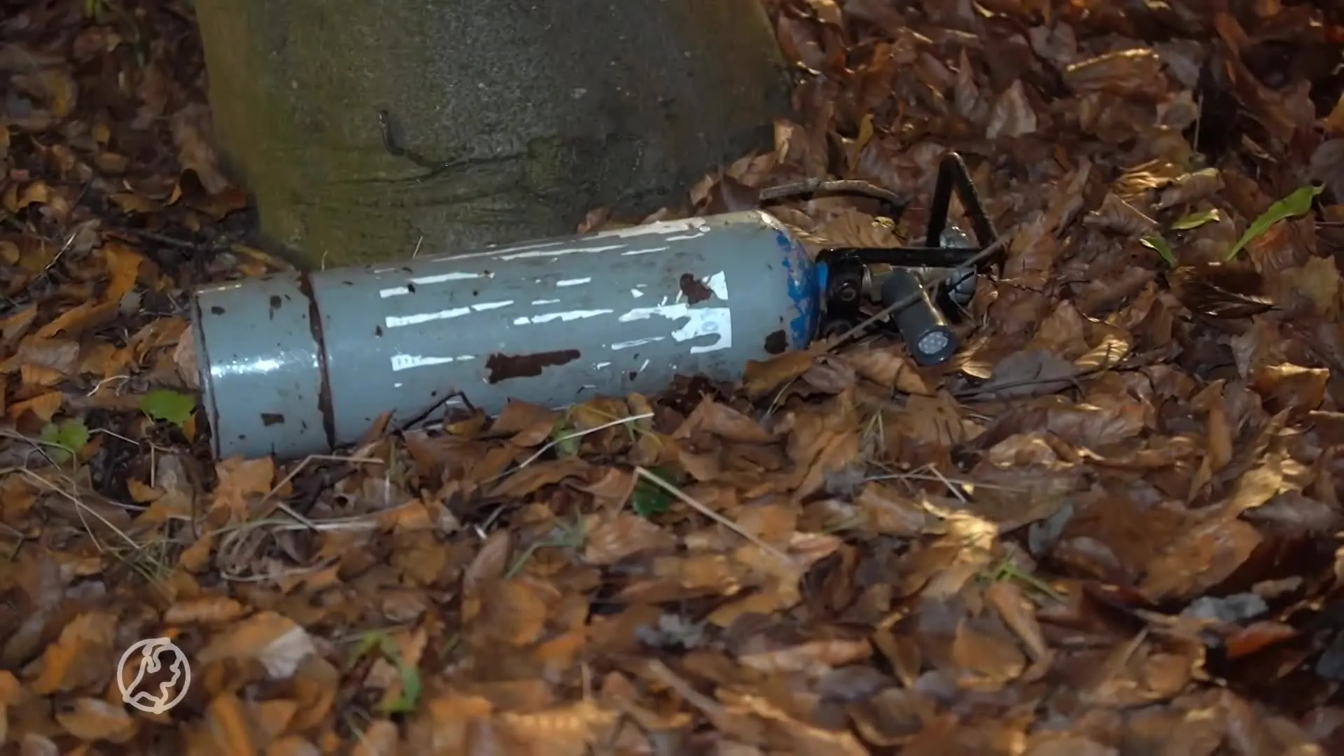 Drie vrouwen raken zwaargewond bij crash tegen boom, lachgasfles gevonden in auto