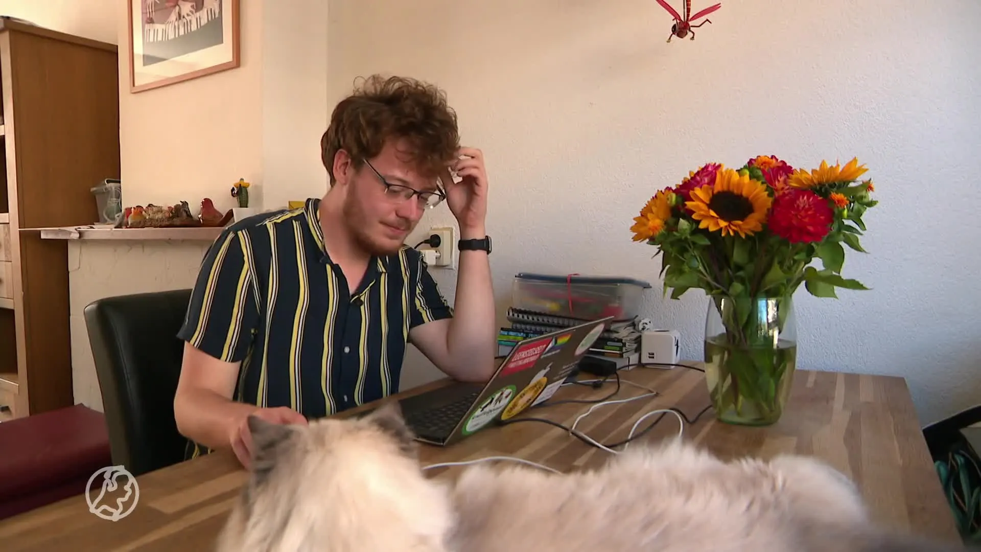 Einde leenstelsel in zicht, wat te doen met de 'pechgeneratie'?