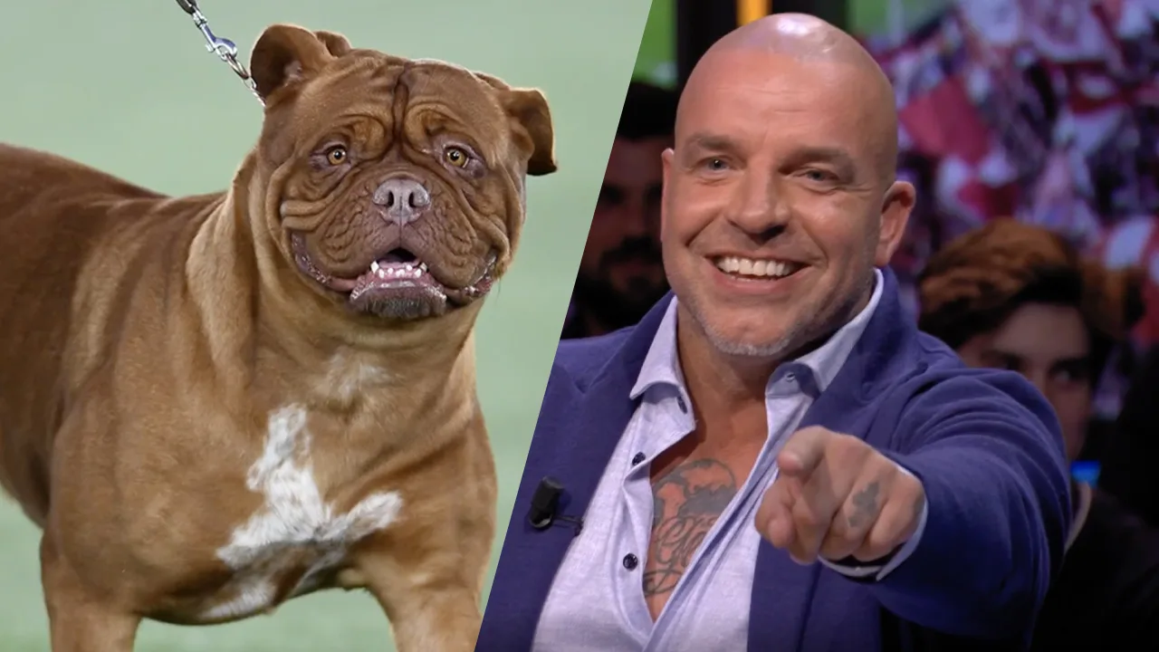 Andy ziet foto van hond: 'Ik dacht dat dat mijn ex was in Engeland!'