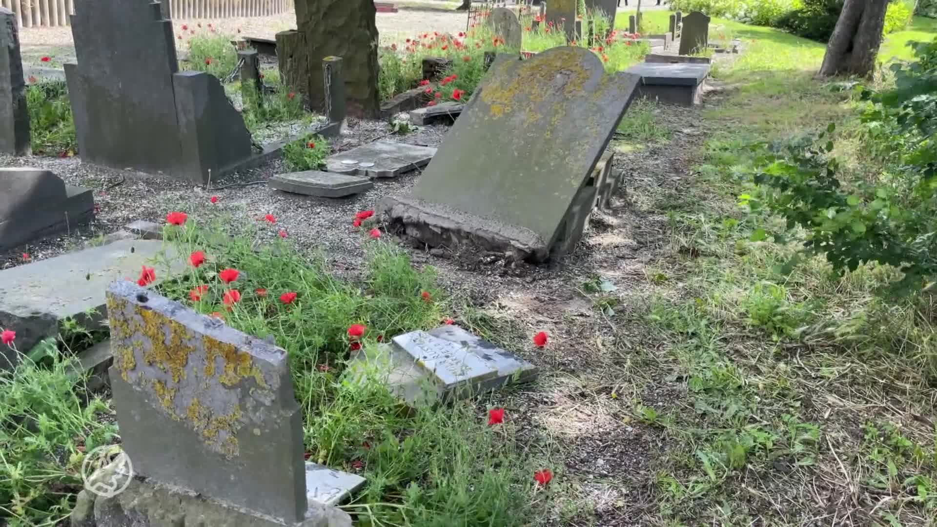 Enorme ravage op begraafplaats 's-Gravenzande: meer dan honde...