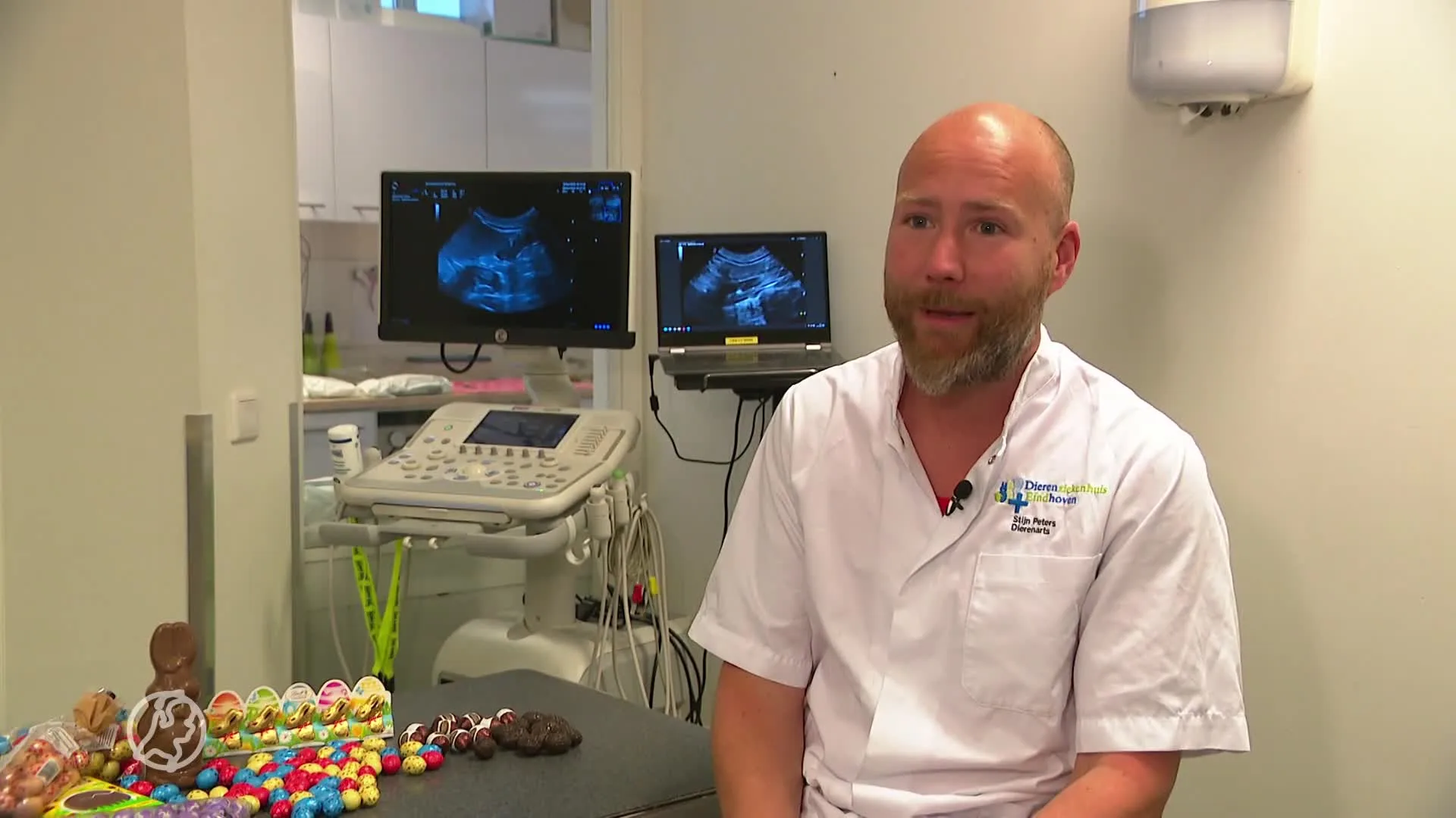 Lekker die chocolade-eitjes, maar wat moet je doen als je hond ze opeet?