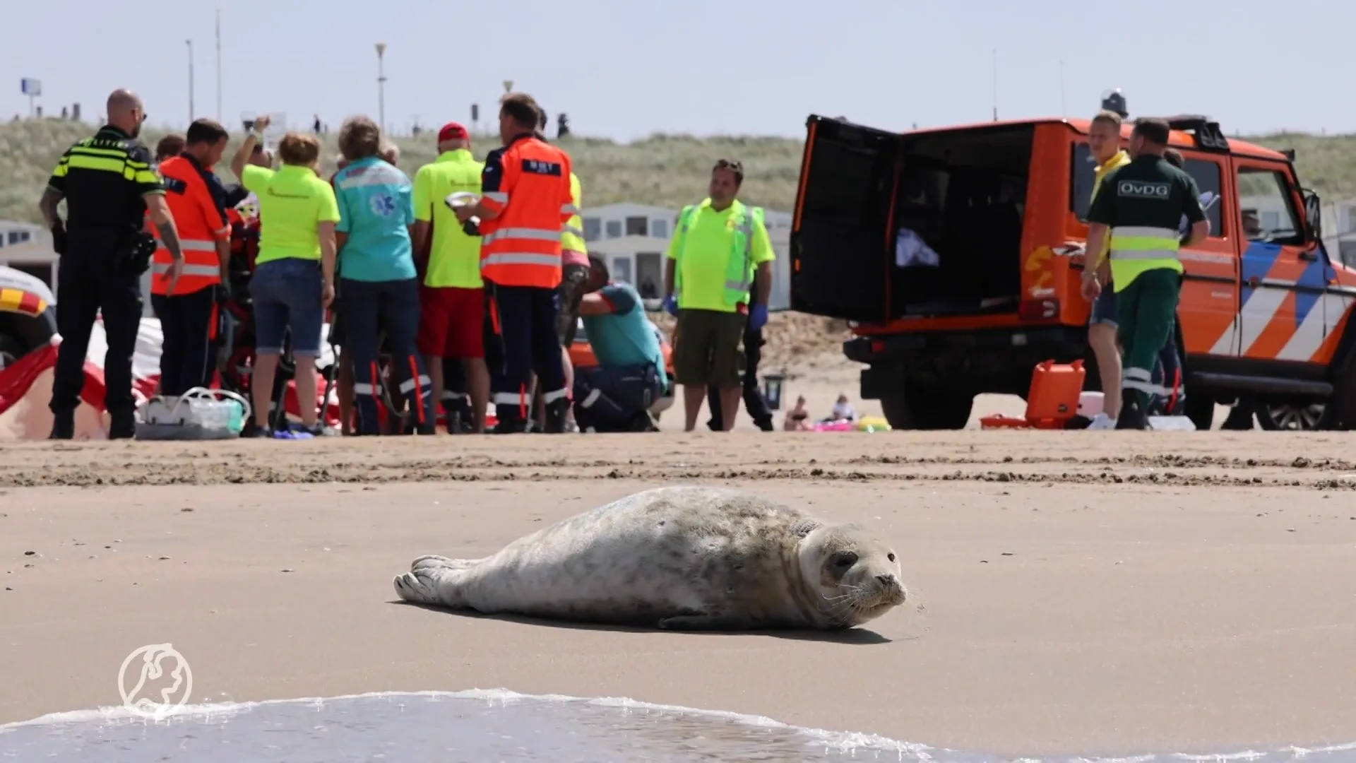 Vrouw overreden door dierenambulance op strand Bloemendaal