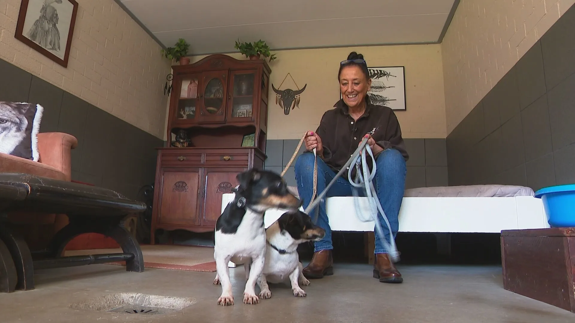 Els vangt hondjes van horrorfokker Eersel op