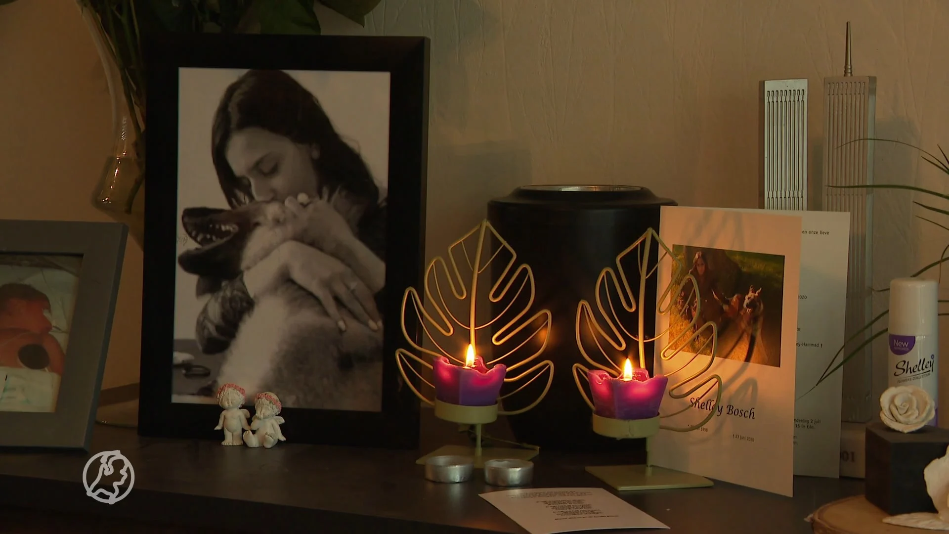 10 jaar cel en tbs voor doodsteken van Shelley (22)