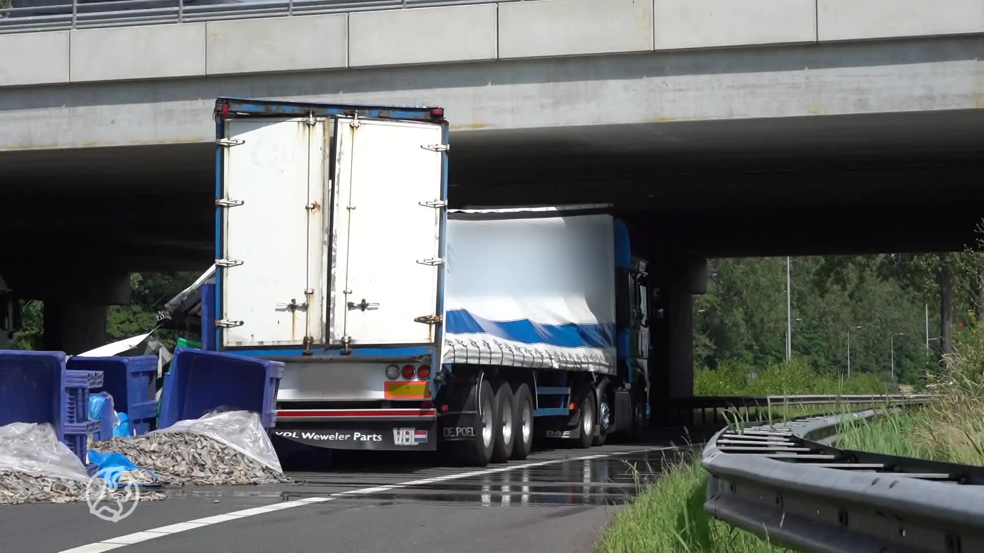 Snelweg A27 bezaaid met slachtafval: "Flinke stankoverlast"