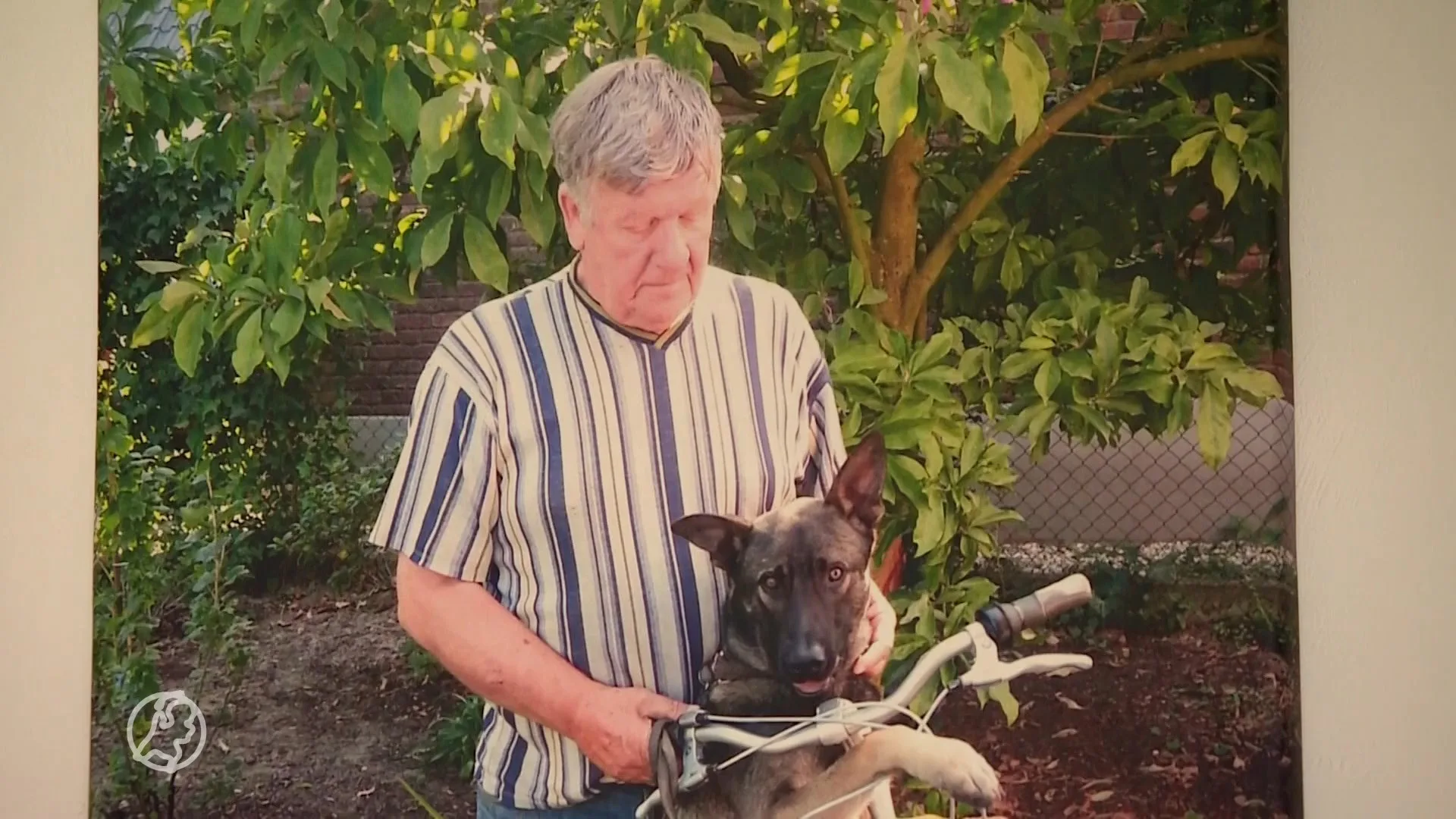 Wanhopige familie neemt zieke Wim (85) noodgedwongen in huis