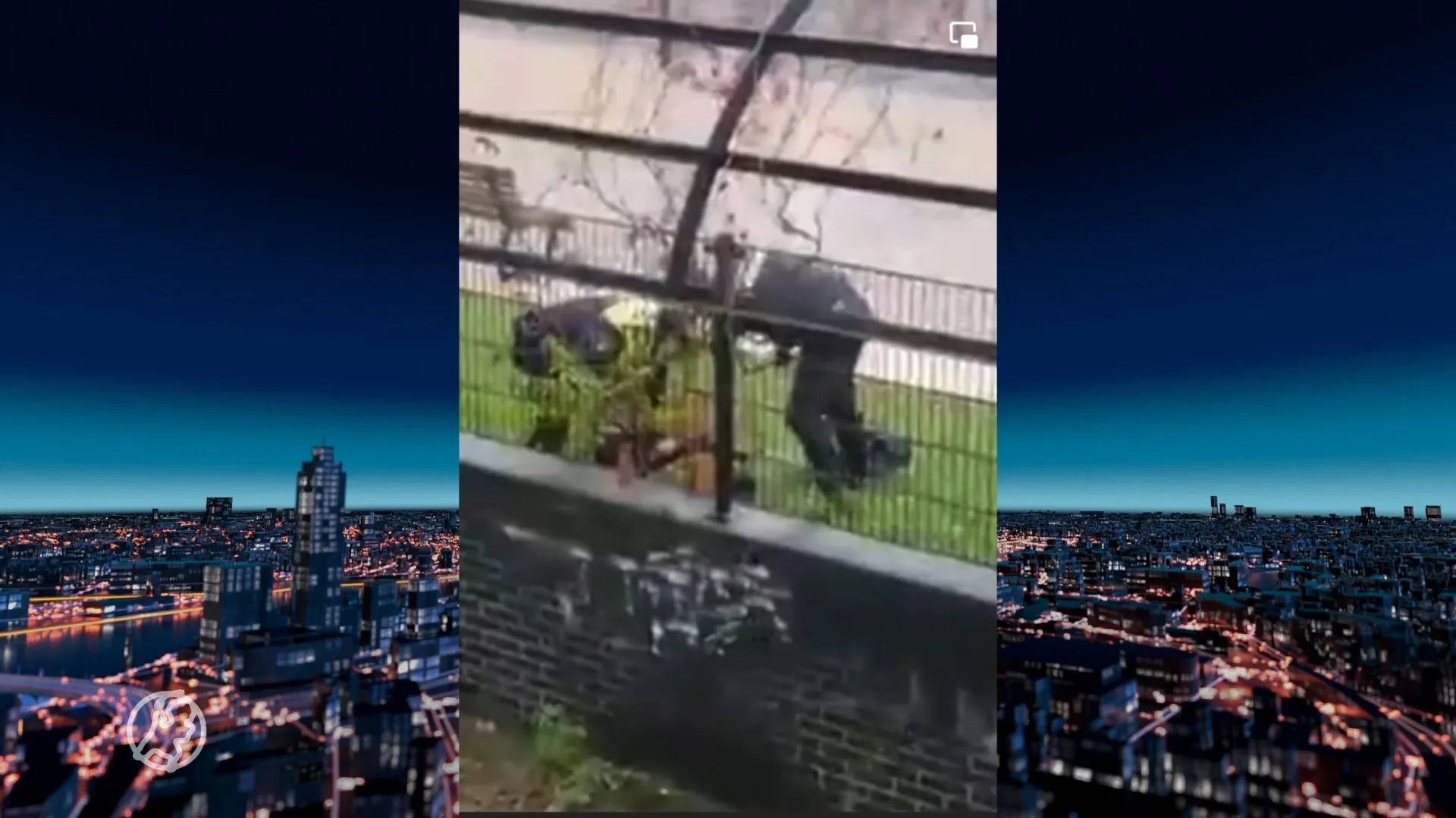 Ophef om politiegeweld tijdens coronademonstratie in Den Haag