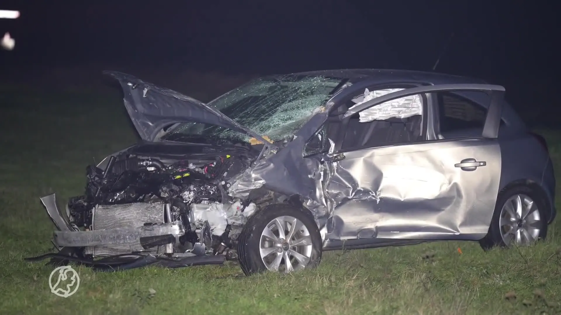 Twee honden dood en drie mensen gewond bij ongeval op N332