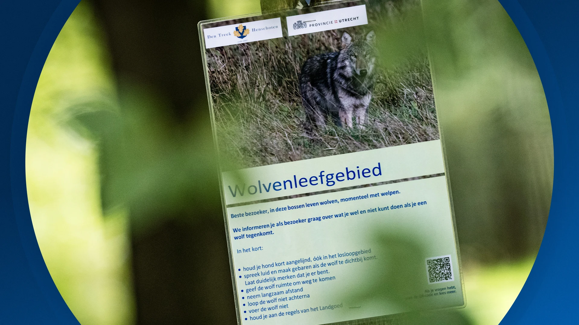 Seizoen 2025, aflevering 241