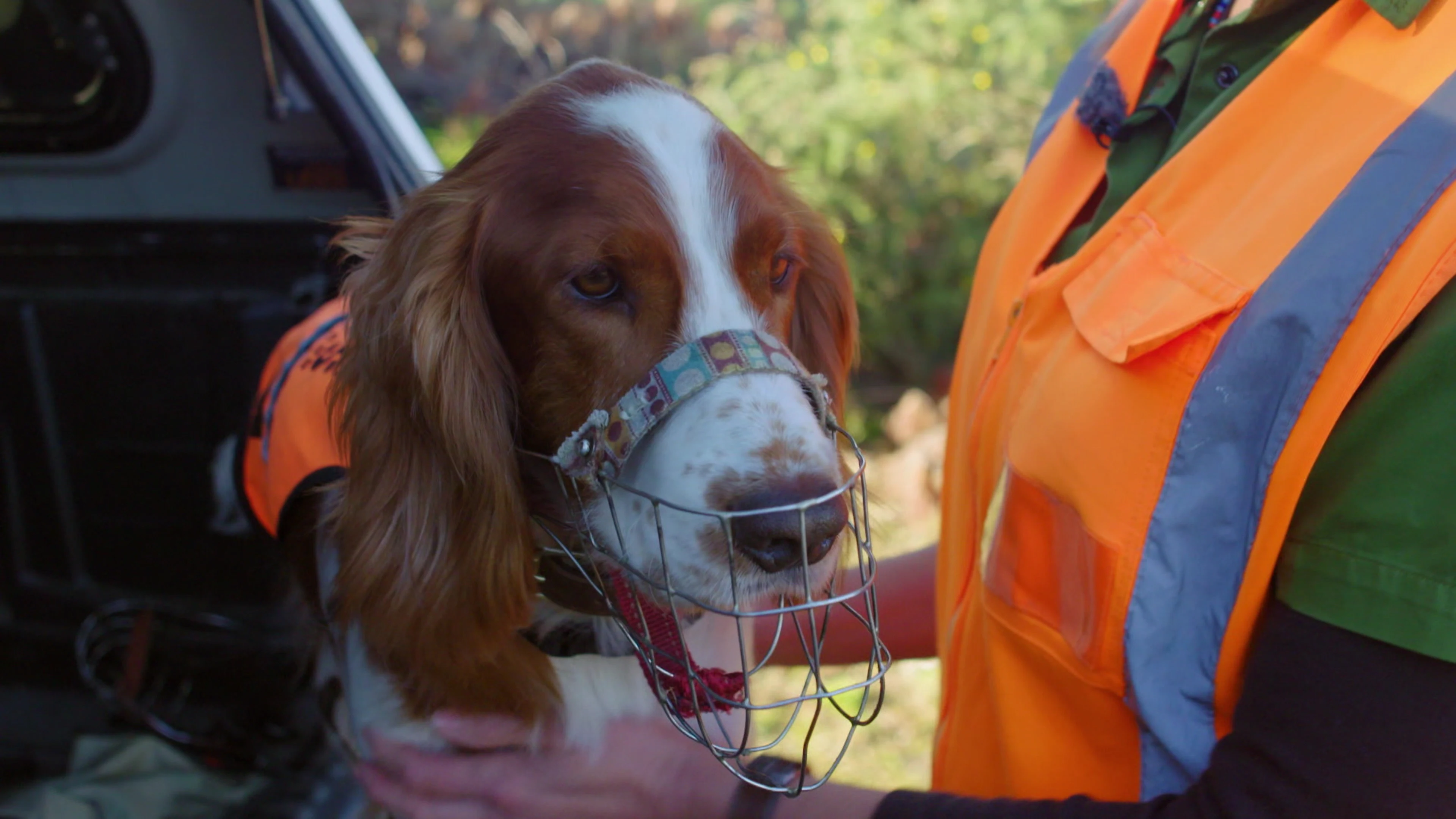 Border Security: Dog Patrol