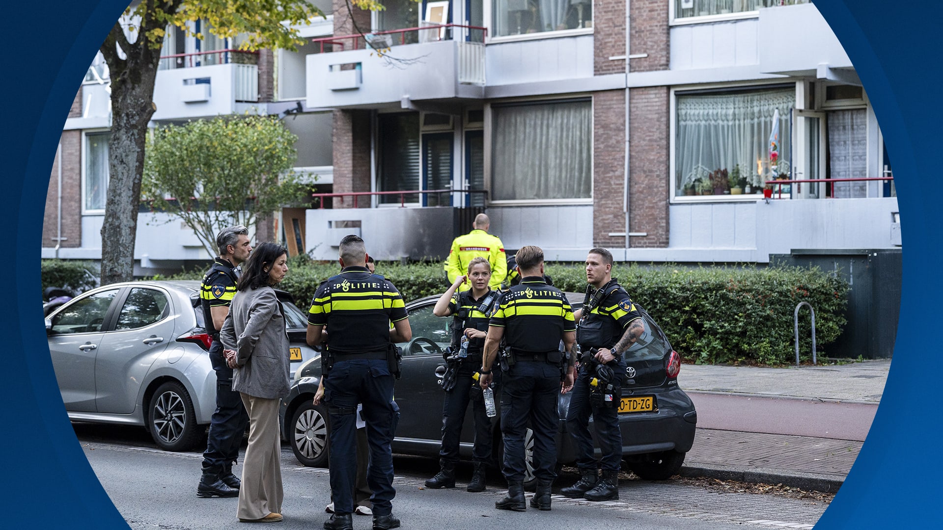 Seizoen 2025, aflevering 264
