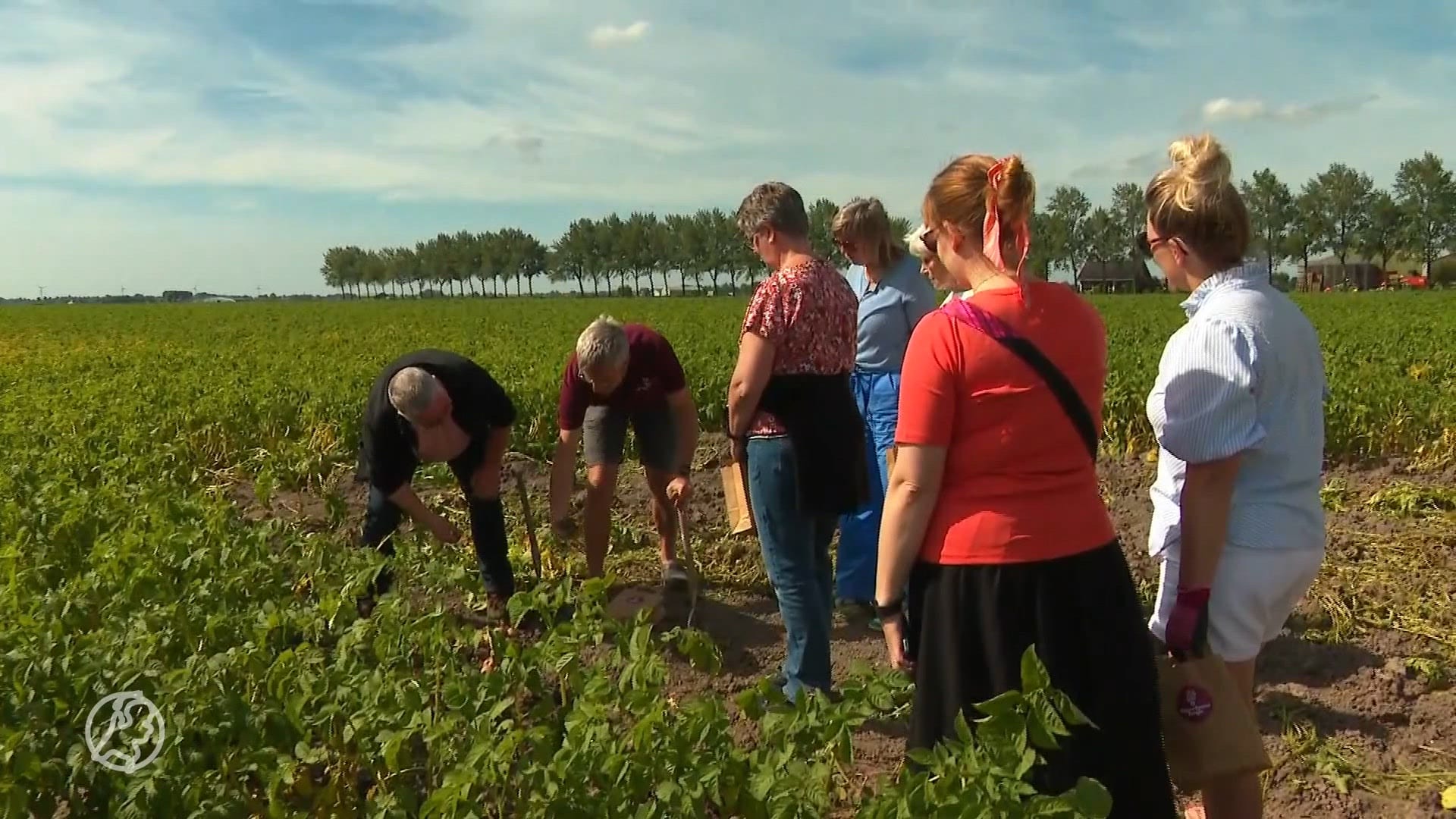 Het oogstseizoen is begonnen in Opperdoes