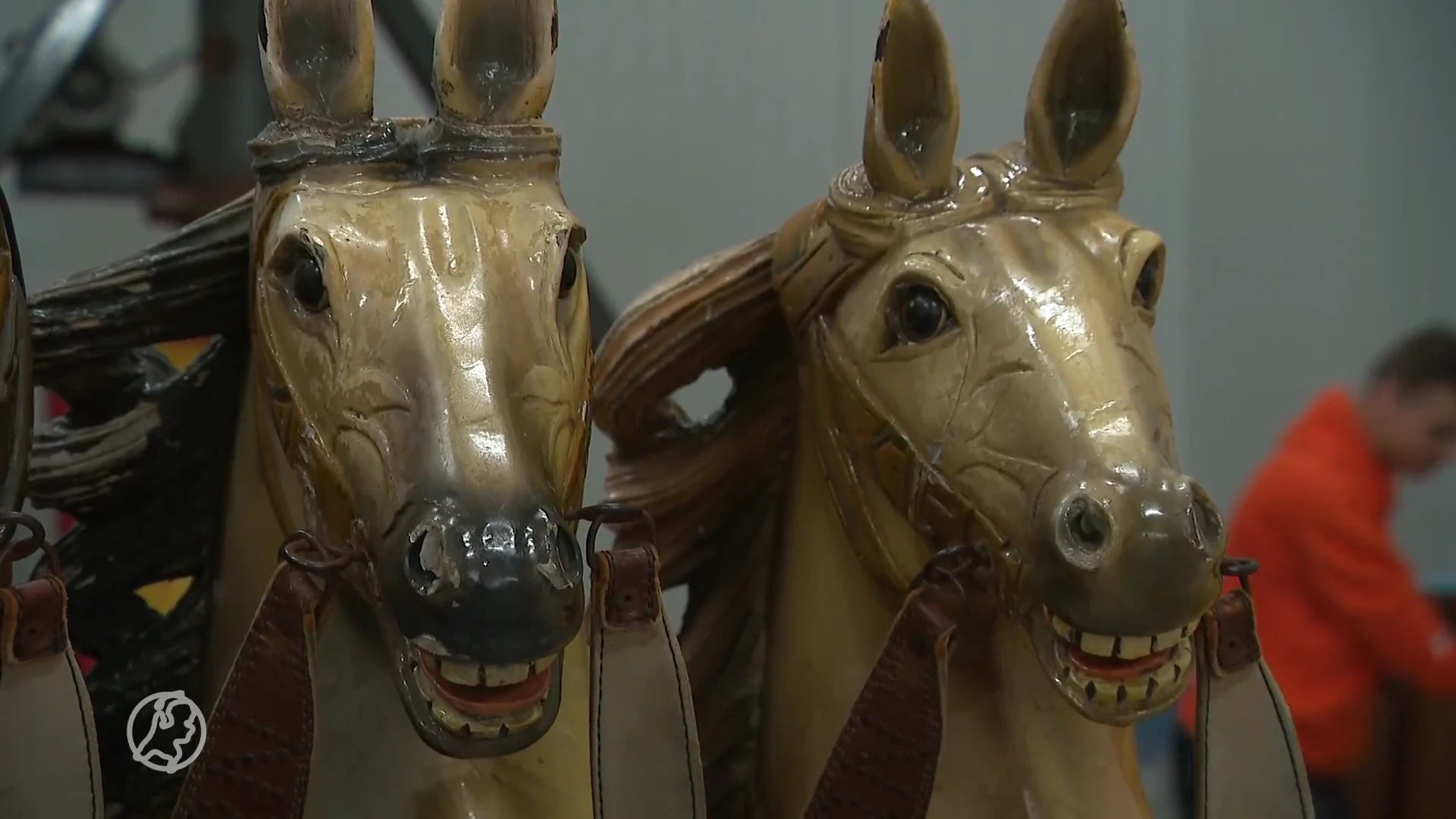 PETA wil geen paarden meer op draaimolens: 'Is dit een grap?'