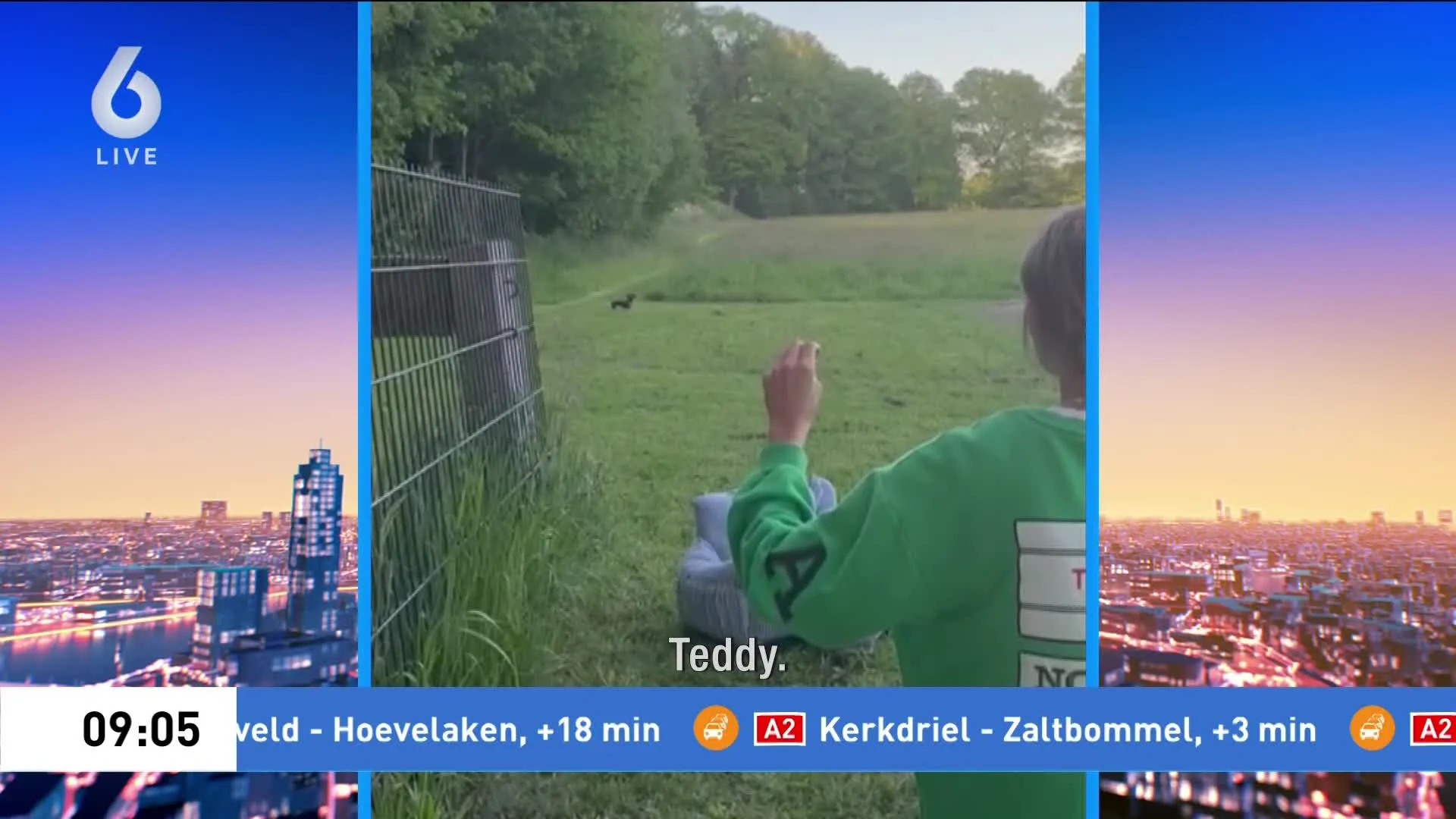 Twentse Teckel Teddy herkent plots zijn baasjes