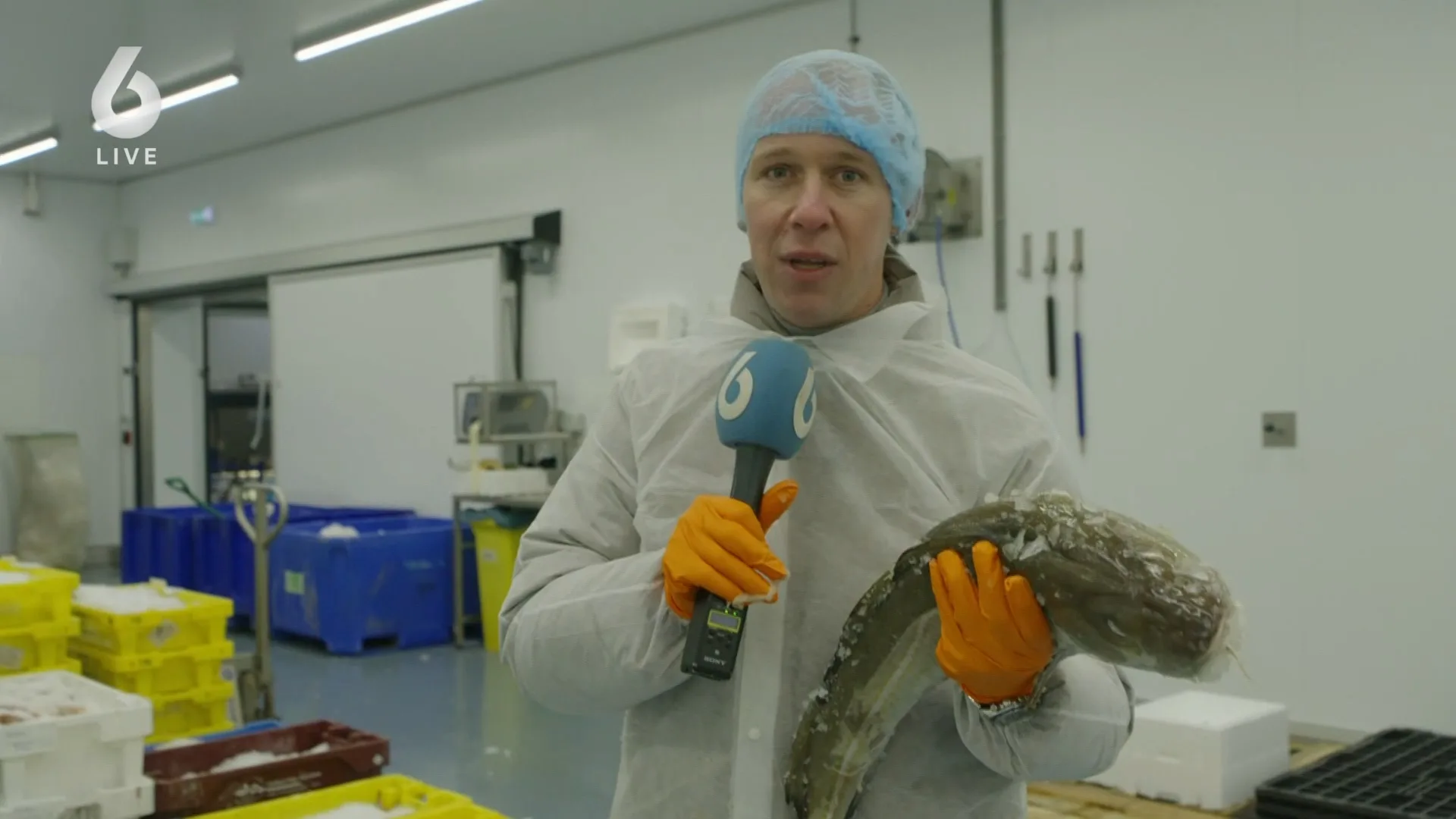 Is de haven in Scheveningen binnenkort verleden tijd?