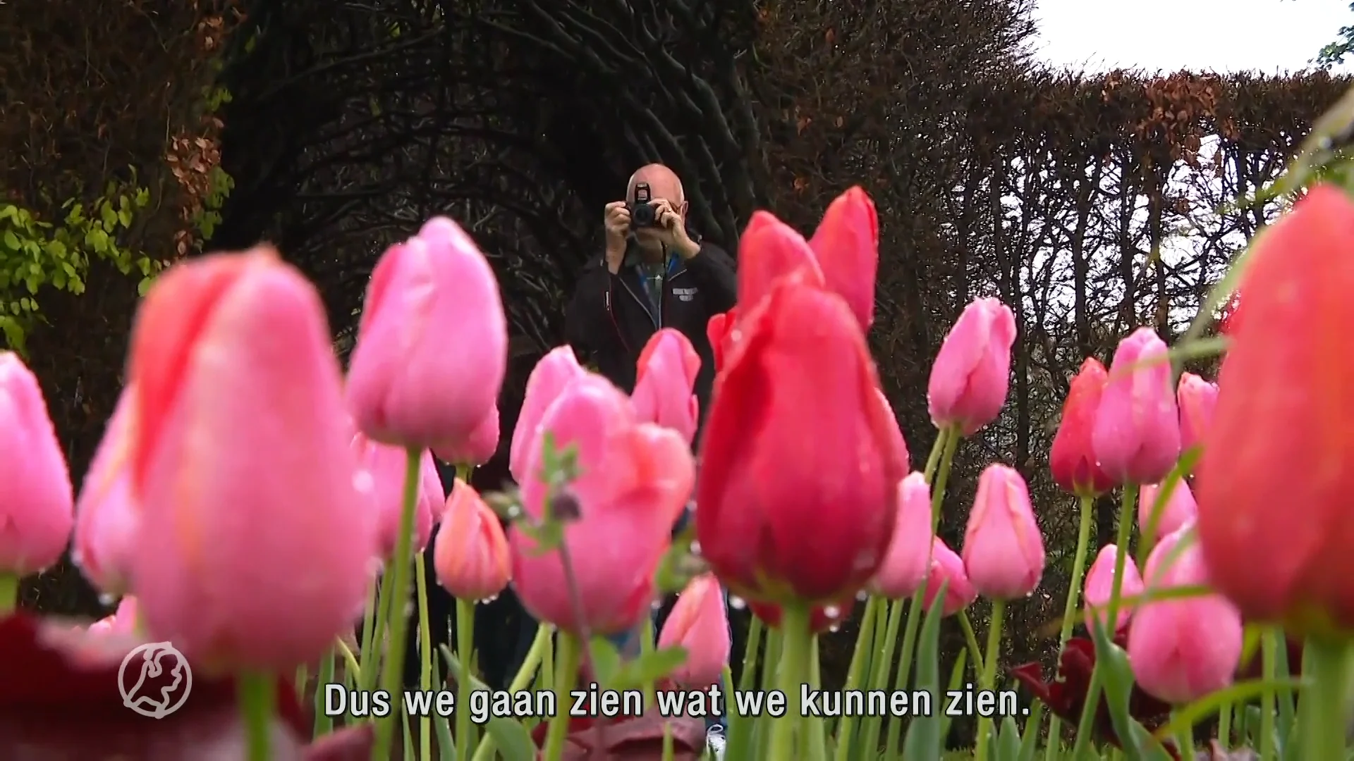 Move over, Keukenhof! Deze tulpentuin steelt de show