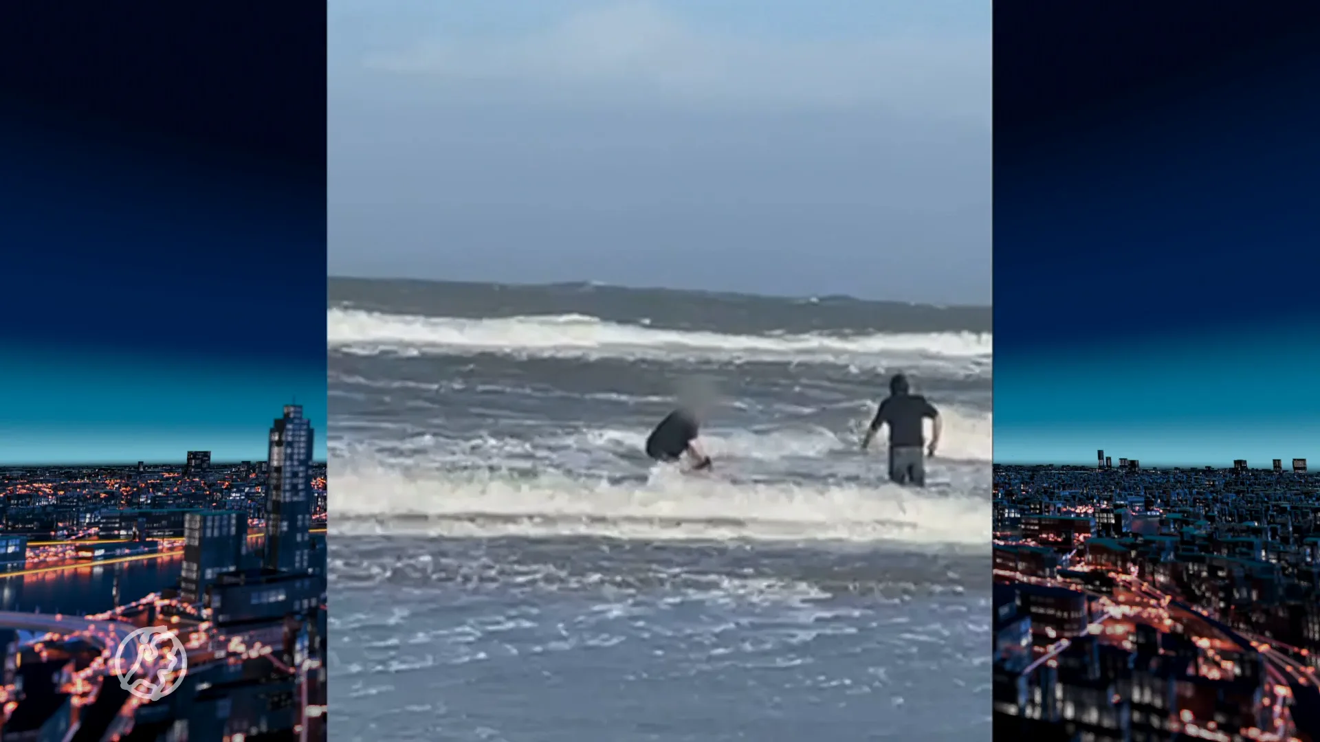 Meerdere bruinvissen aangespoeld door storm Pia, allemaal overleden