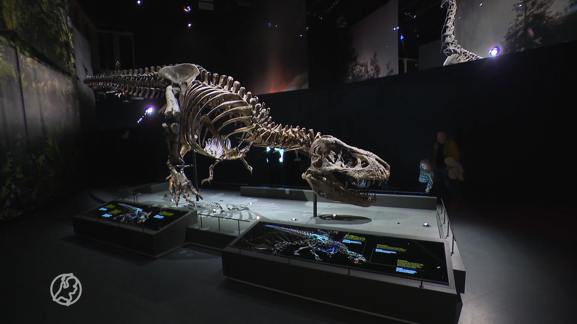 Onderzoekers door het dolle heen: nieuwe soort dino ontdekt