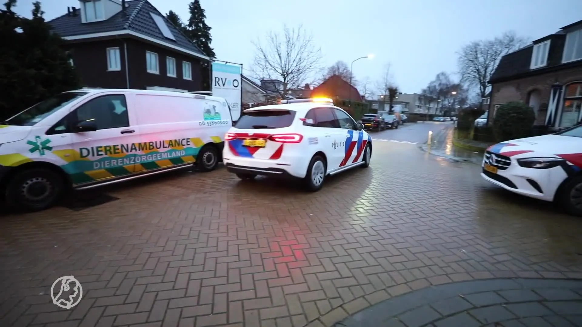 Rottweiler neergestoken in Baarn, politie is op zoek naar verdachte