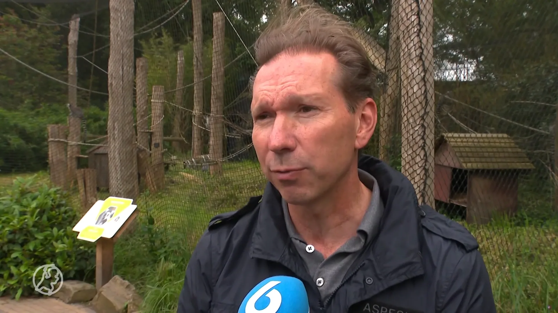 Ontsnapte aap Ouwehands Dierenpark gevangen: 'Maakt het goed'