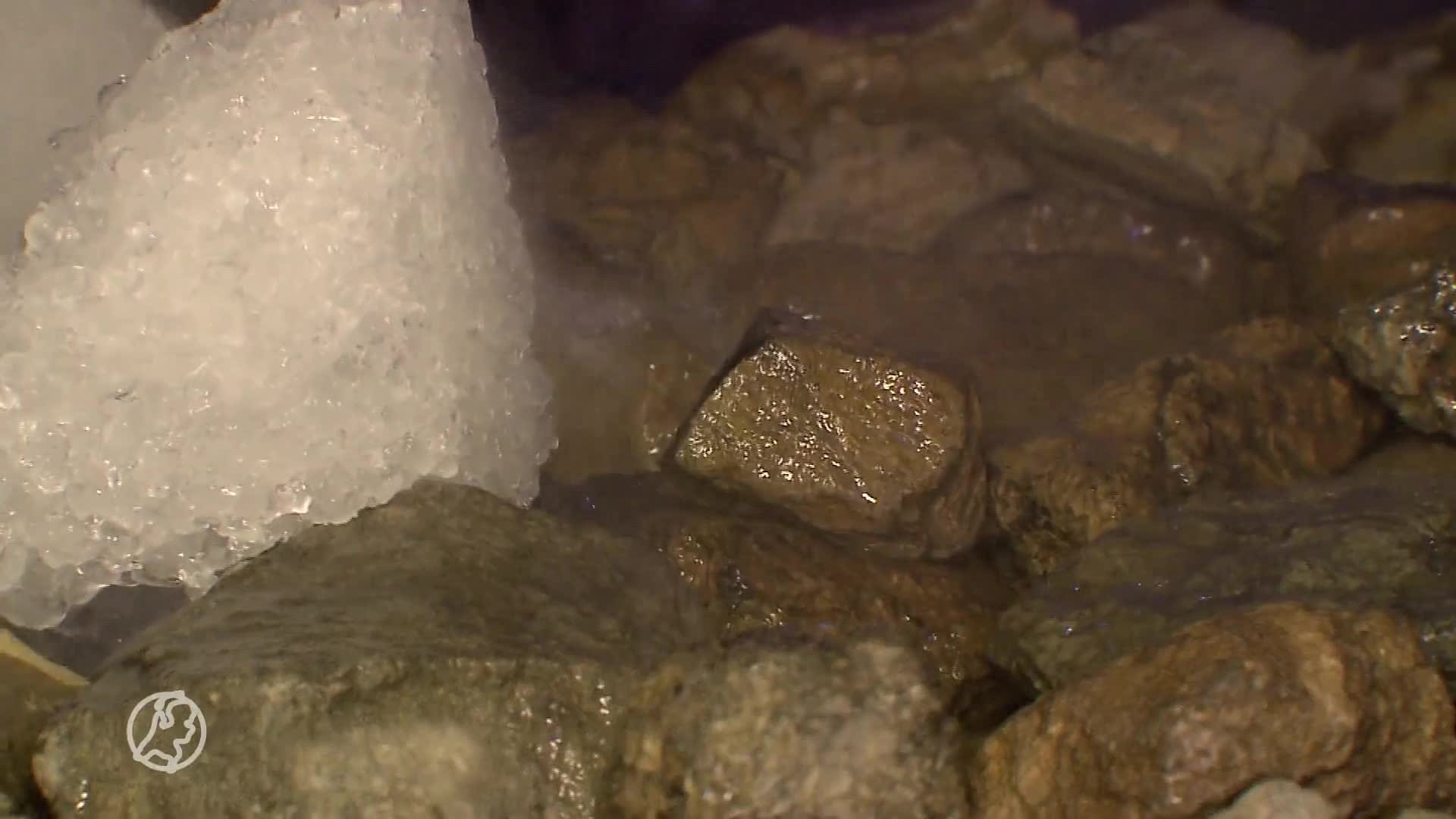 Sportscholen treffen maatregelen tegen seksuele handelingen mannen