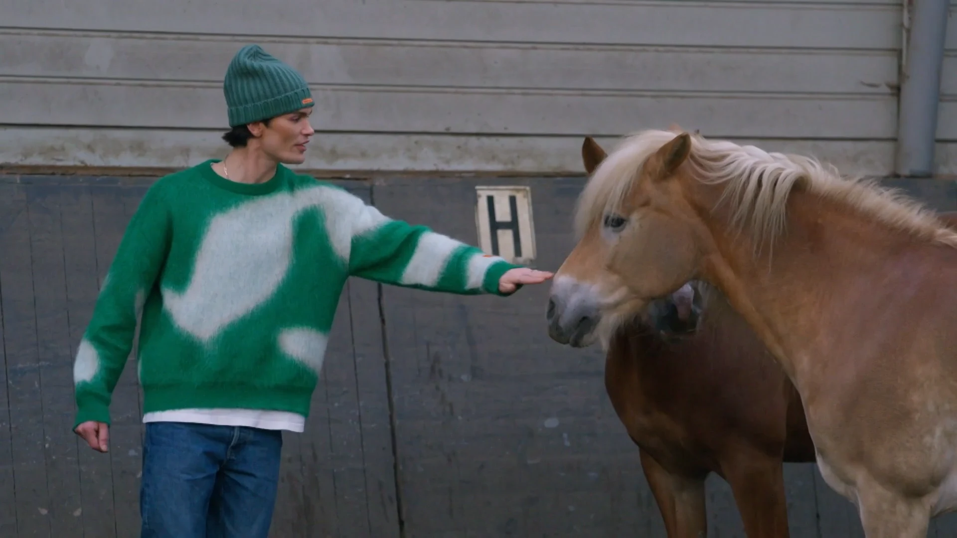 Vindt Koen Pieter zijn prins op het witte paard?