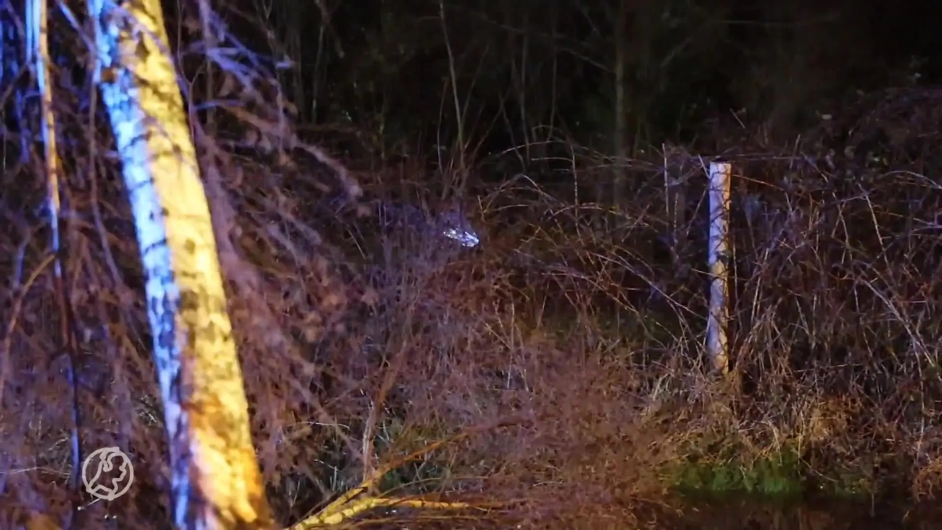 Auto belandt in het water in Nijverdal, vrouw (25) overlijdt