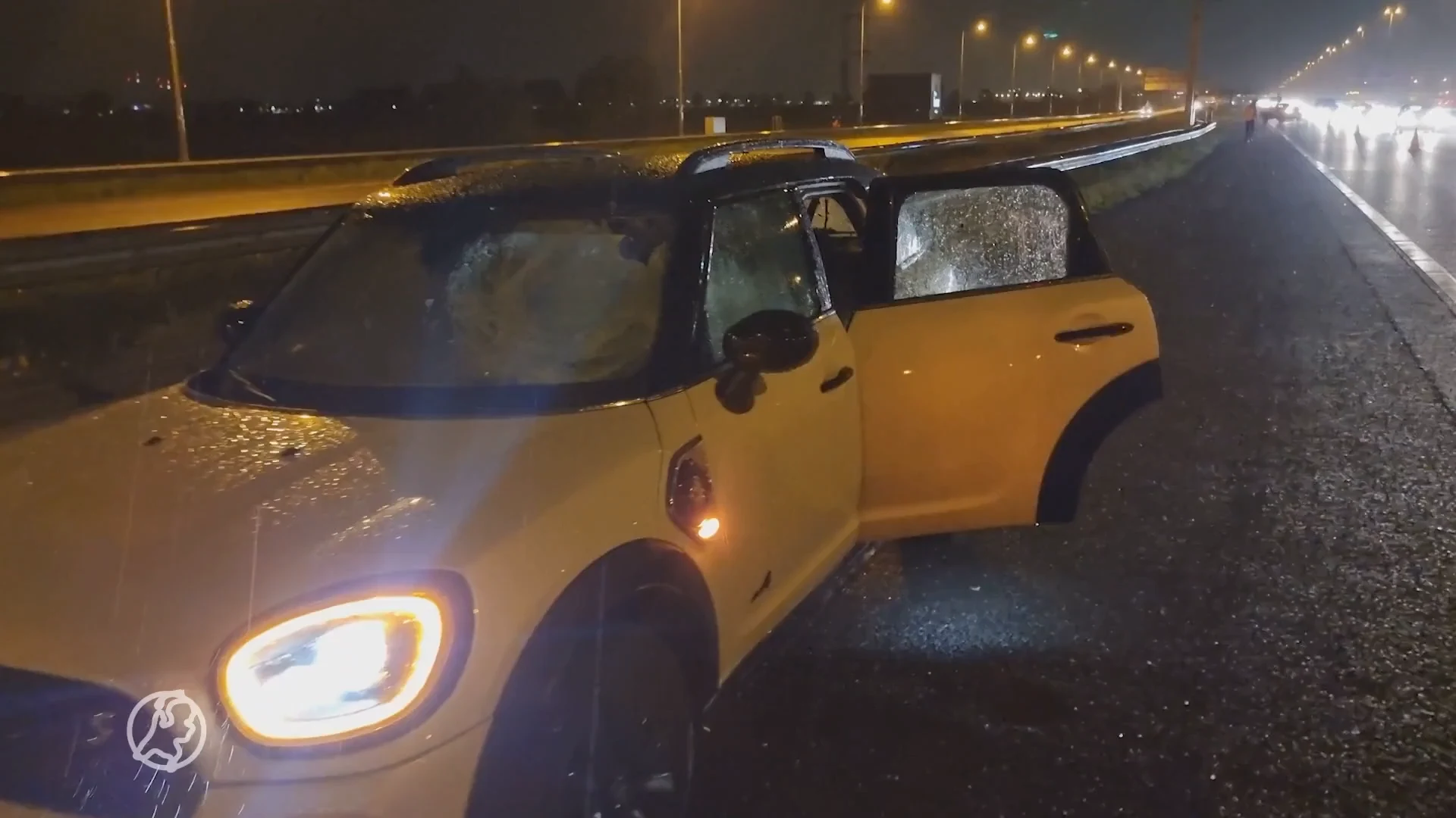 Gans vliegt door voorruit auto op A4 bij Hoofddorp, vrouw raakt gewond