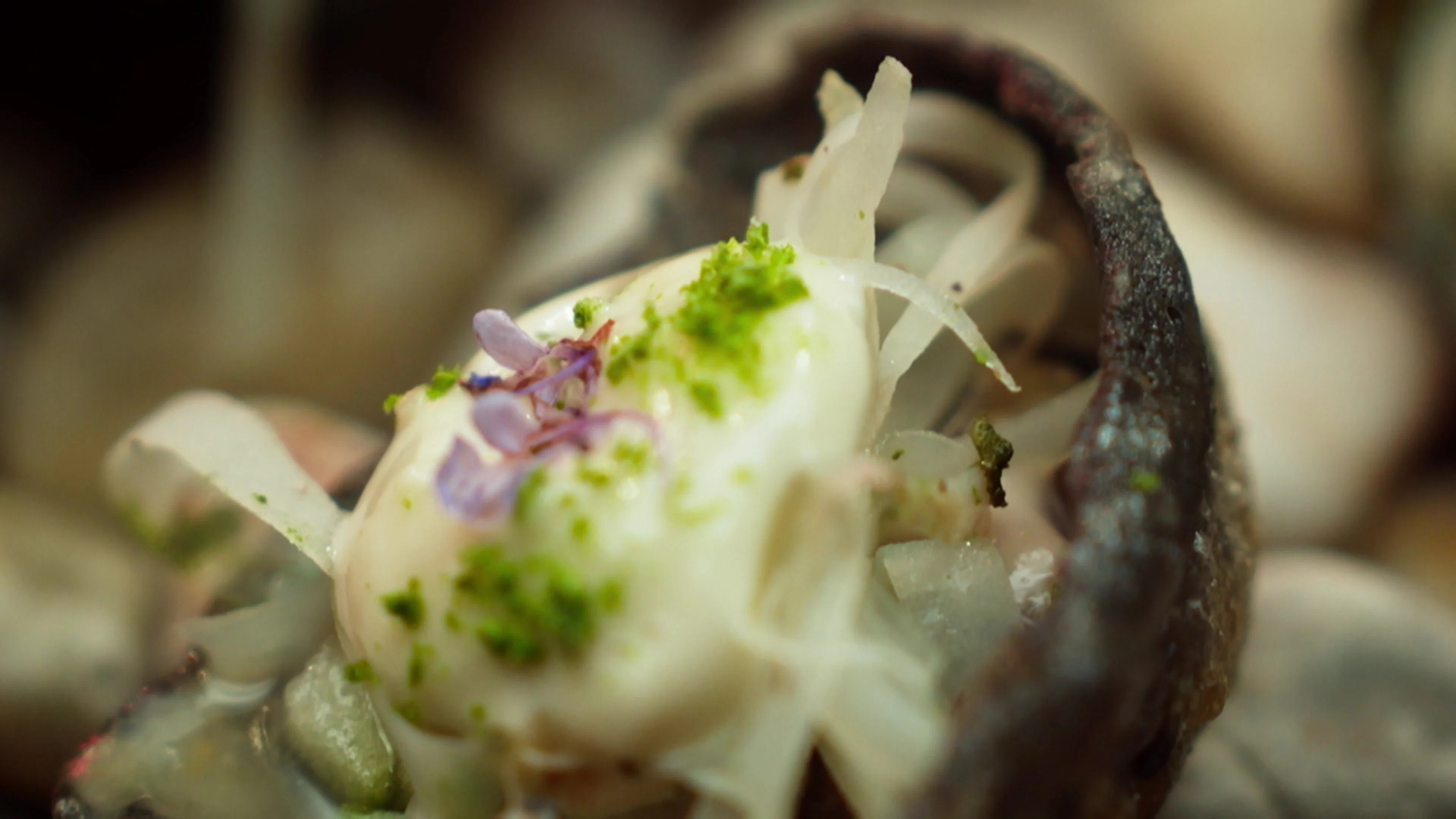 Grand Finale - Part 1