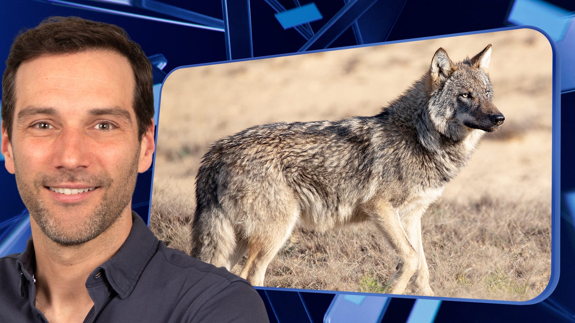 Seizoen 2025, aflevering 246