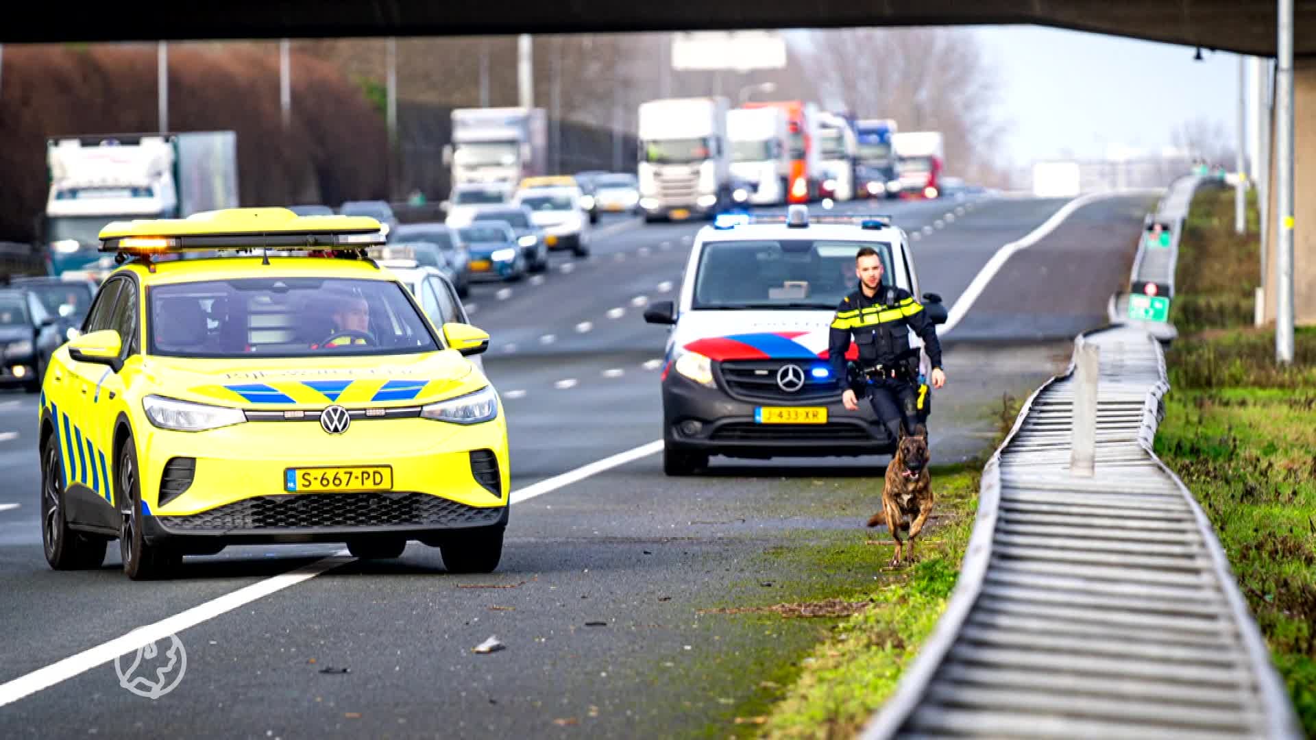 Ontsnapte hond raast kriskras over A16 bij Hendrik-Ido-Ambacht