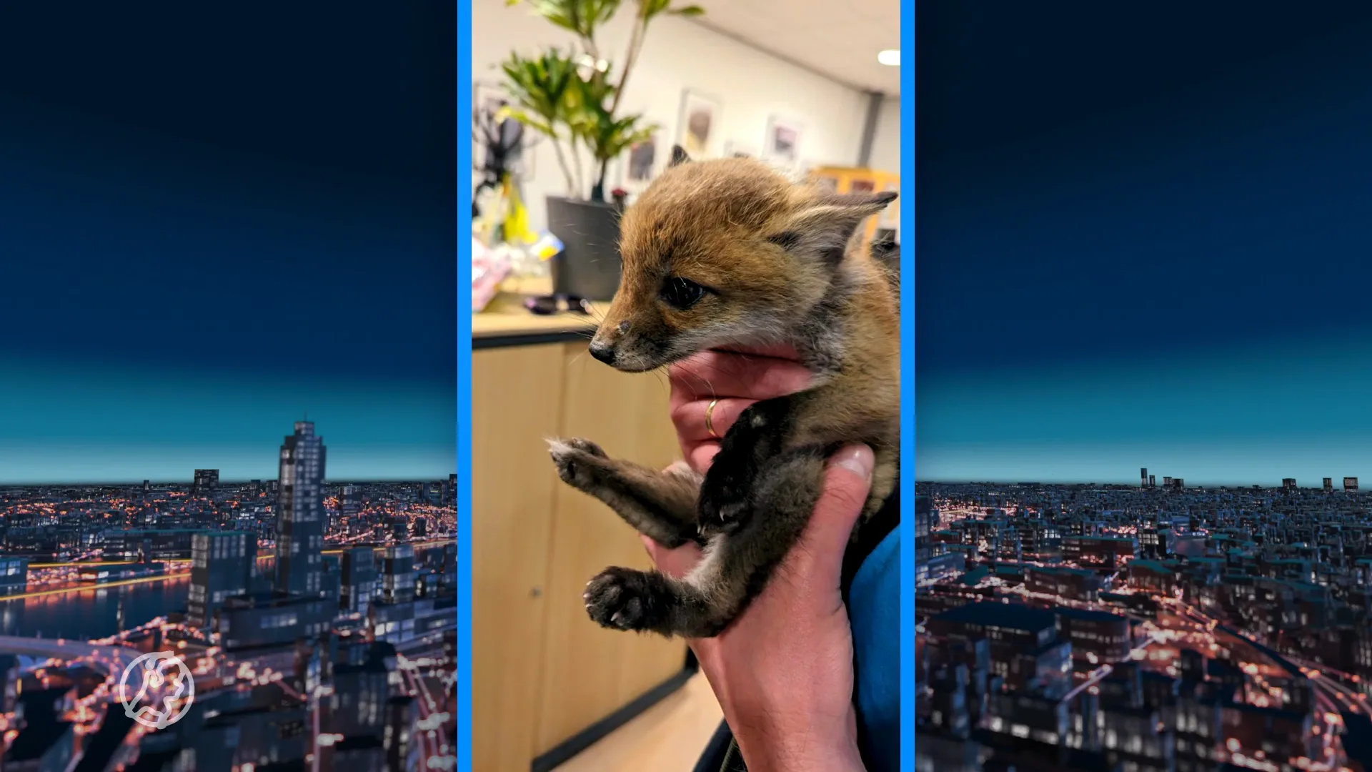 Vosjes glippen verpleeghuis in Katwijk binnen