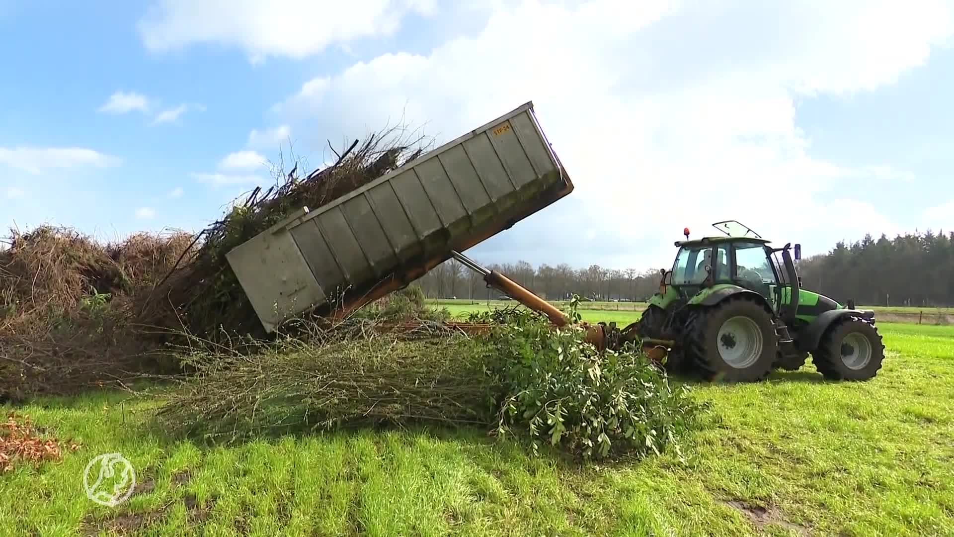 Steeds minder paasvuren, maar in Heino wordt er nog massaal hout ingezameld