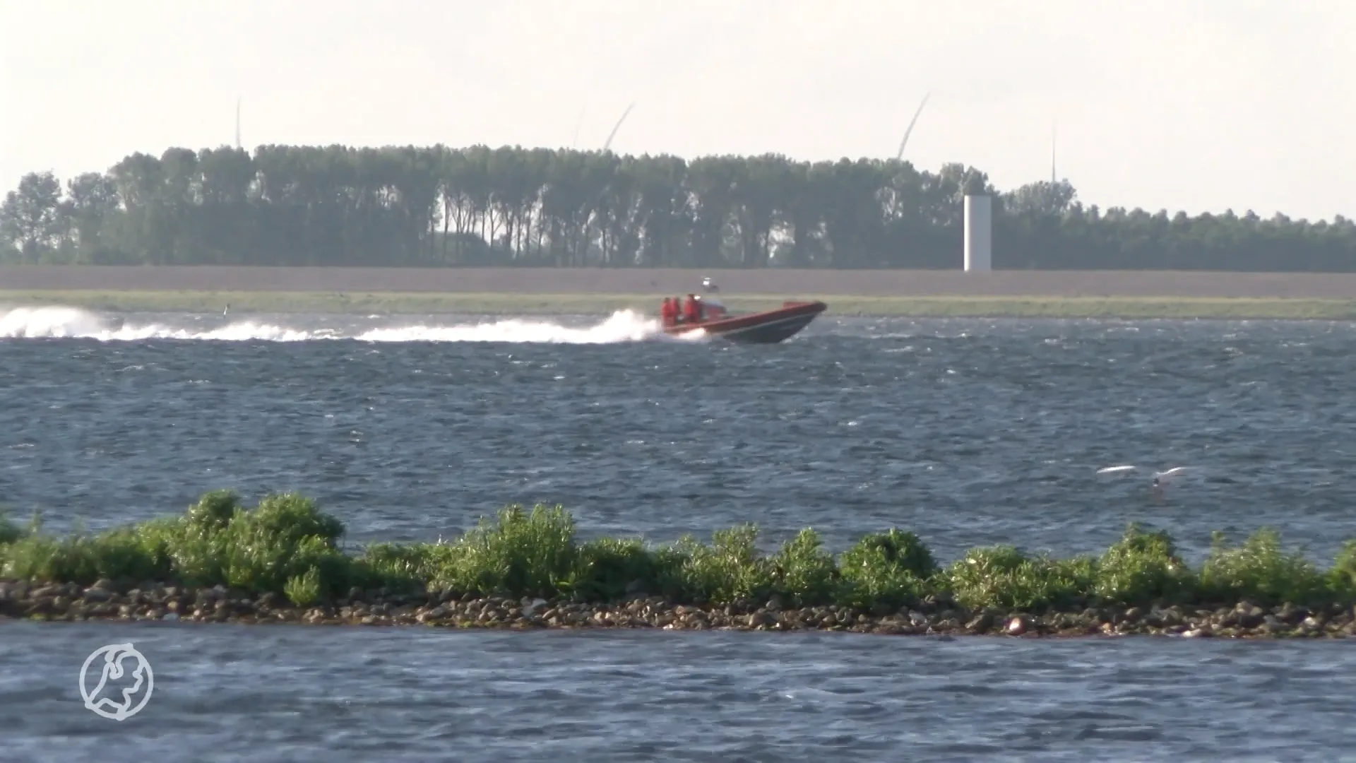 Vermiste surfer (50) dood aangetroffen in Zeeuws Grevelingenmeer