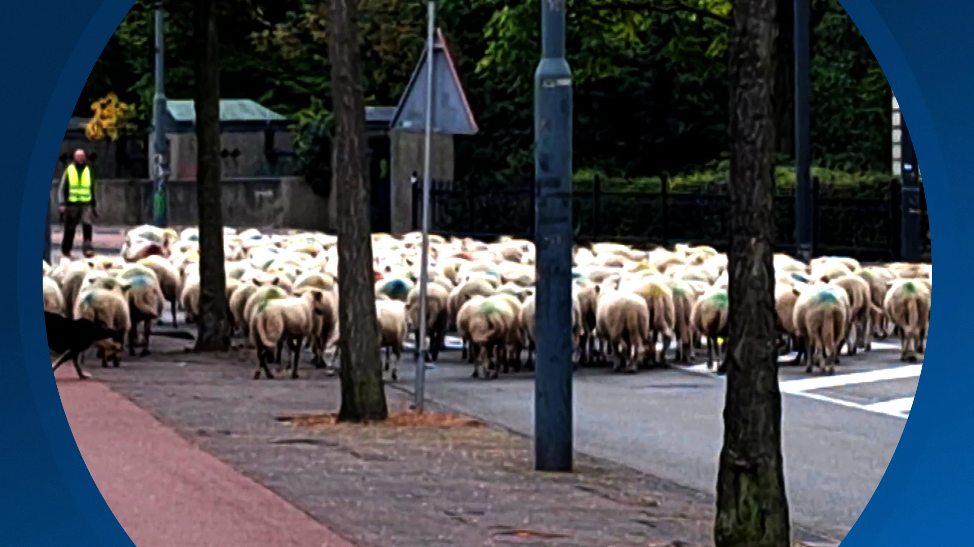 Seizoen 2025, aflevering 283