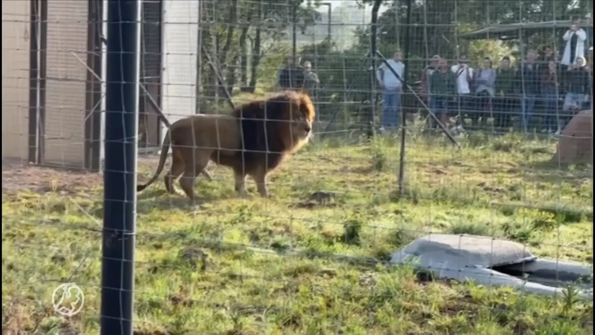 Remy en Luna zetten tanden in nieuw Zuid-Afrikaans avontuur