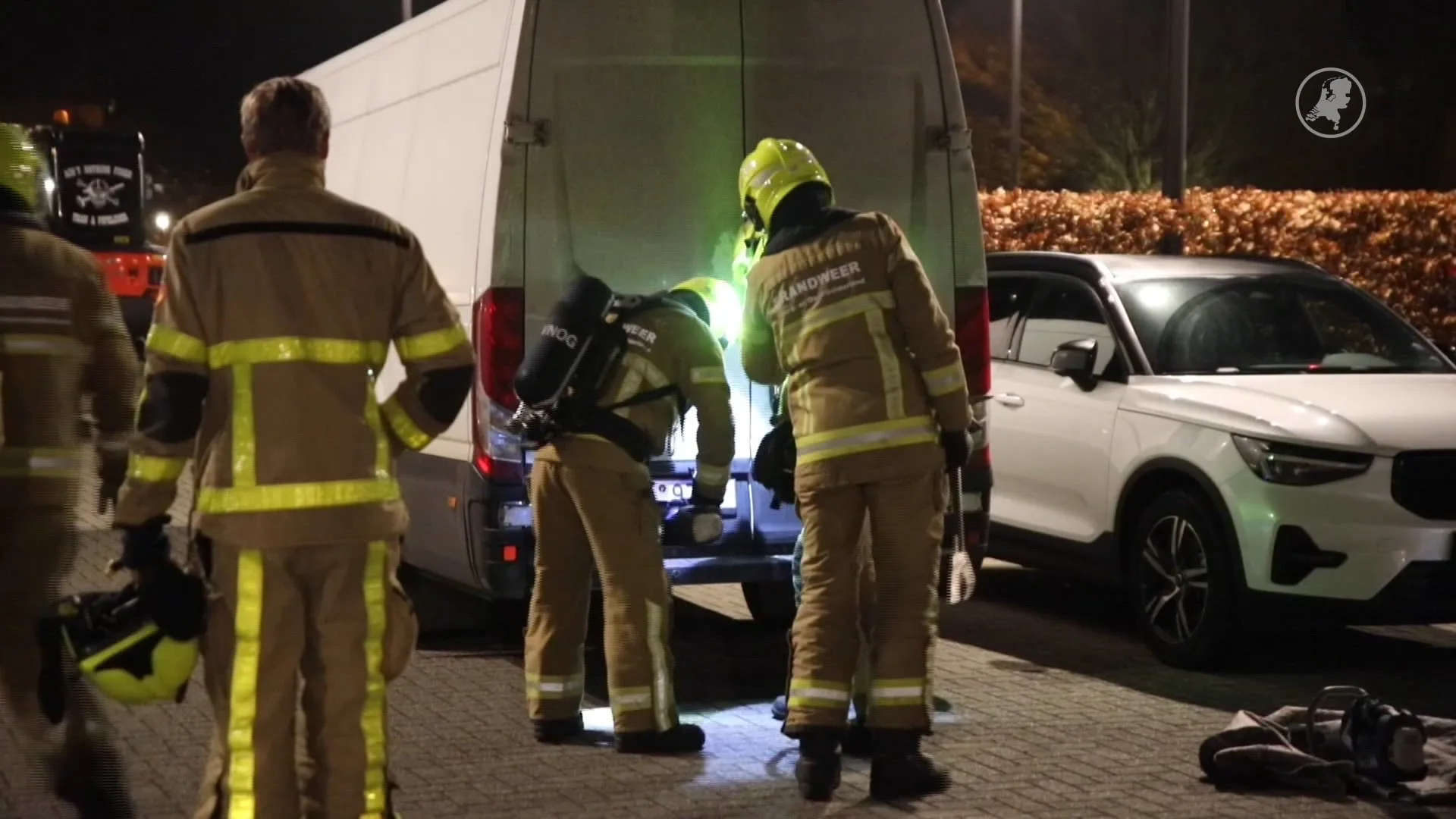 Drie albino-wallaby's gevonden in verlaten bus bij Apeldoorn