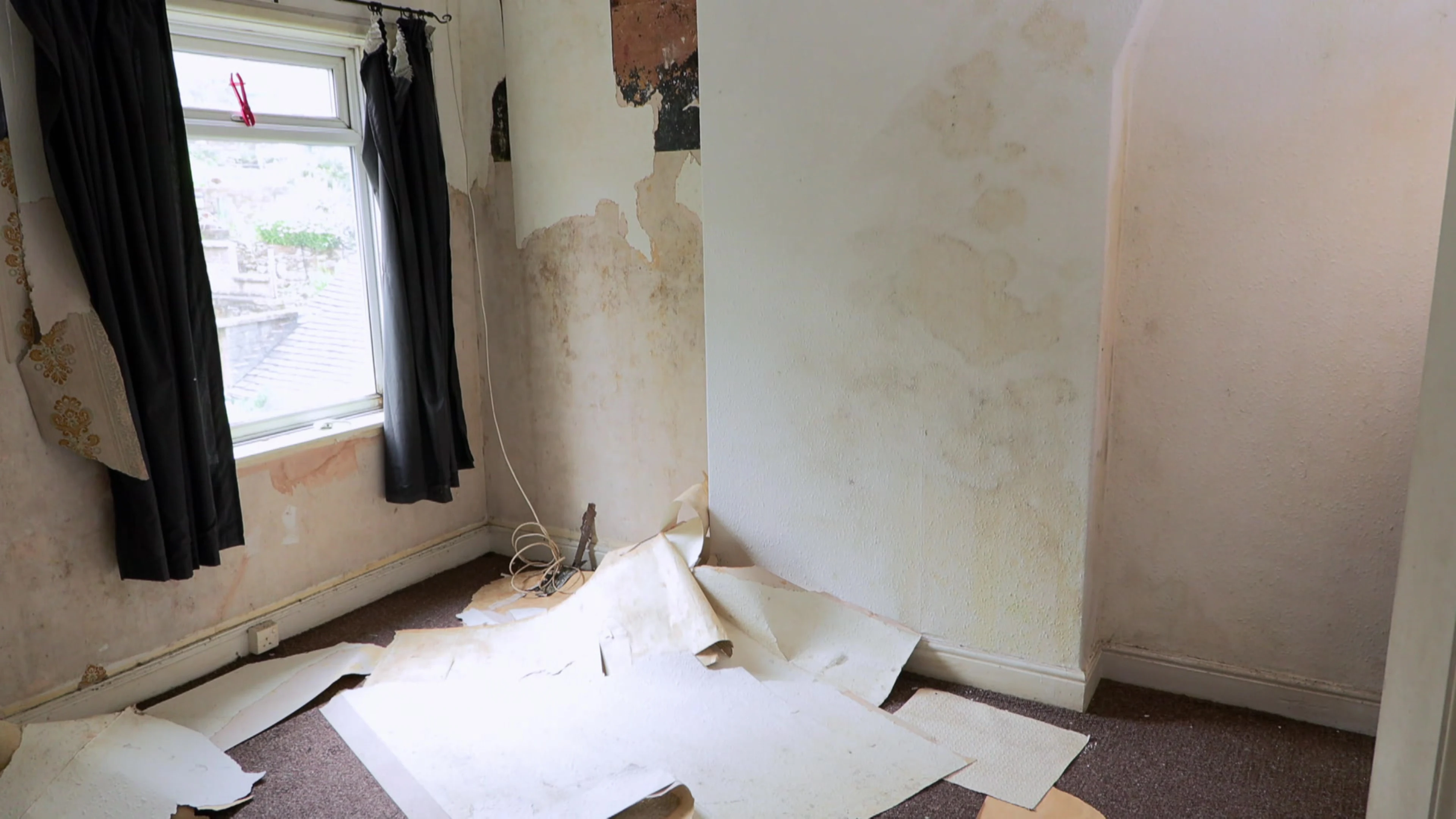 A Tiger on the Loose!